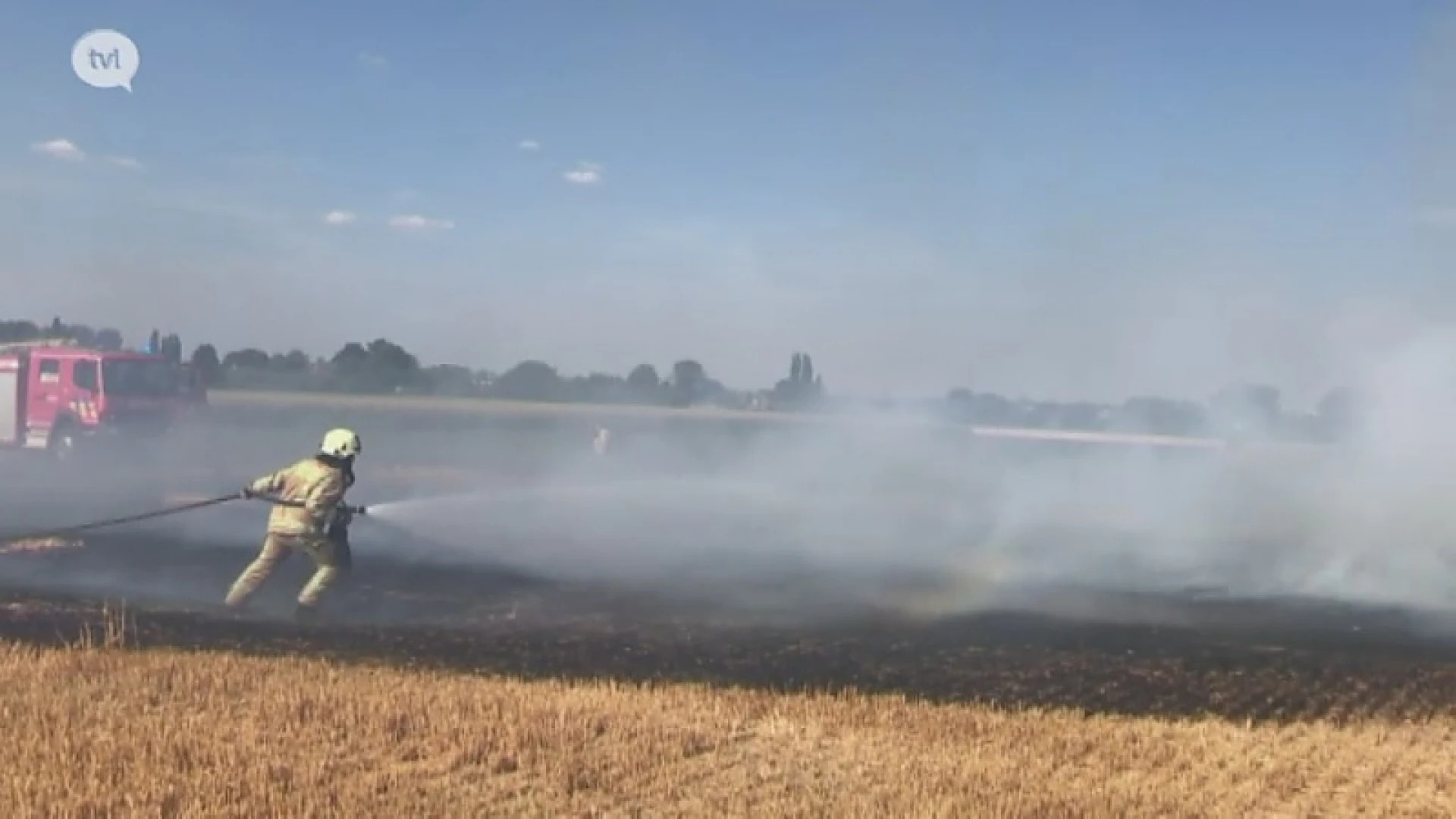 Graanveld gaat in vlammen op door brandende sigaret in Riemst