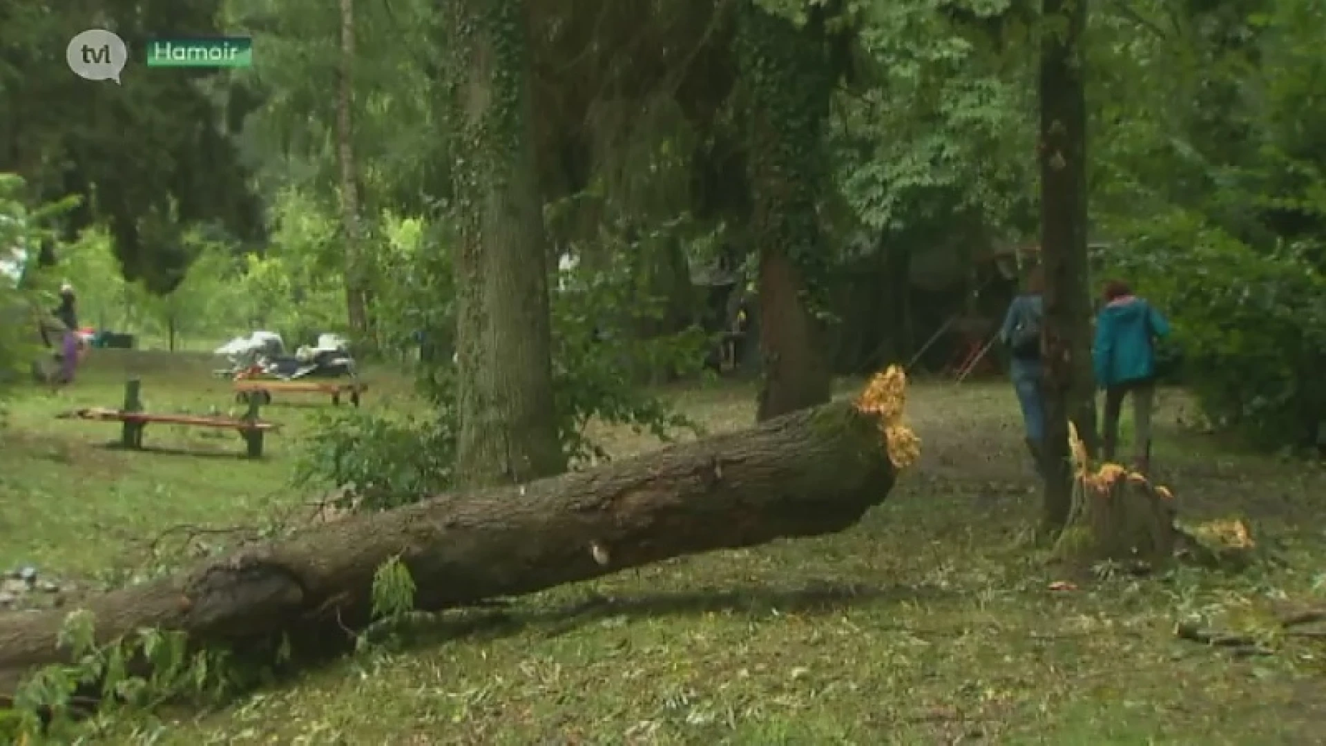 Genks danskamp zwaar getroffen door mini-tornado in Luik