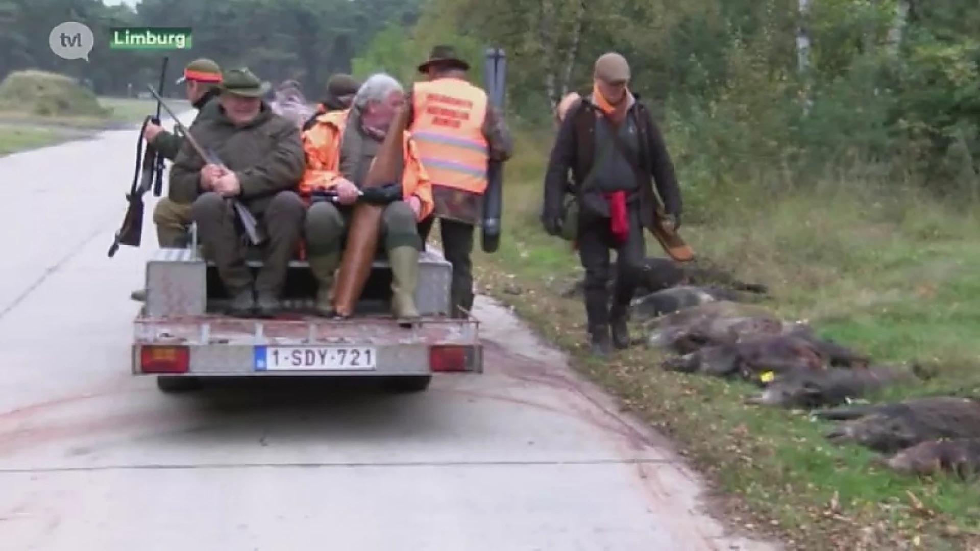 Hoofdafbeelding voor artikel "Beste manier om varkenspest…