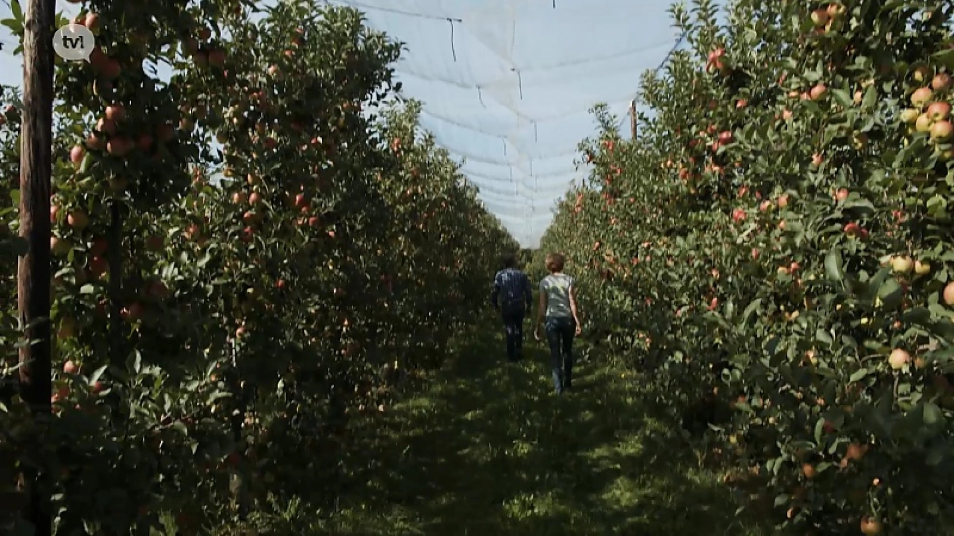 Smaakvolle fruitoogst 2018