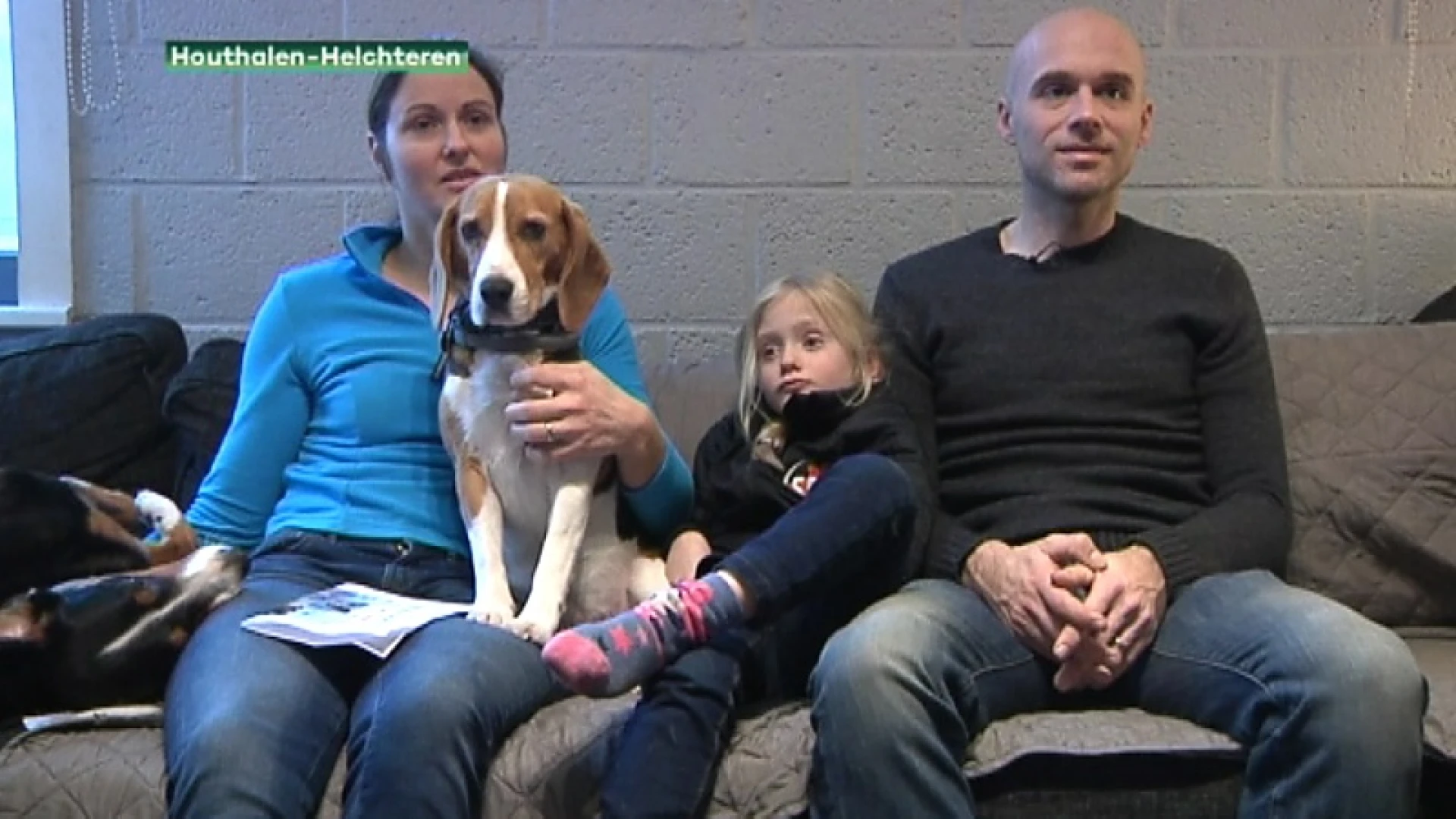 Gezin uit Houthalen-Helchteren looft 1000 euro uit voor gouden tip over gestolen hond