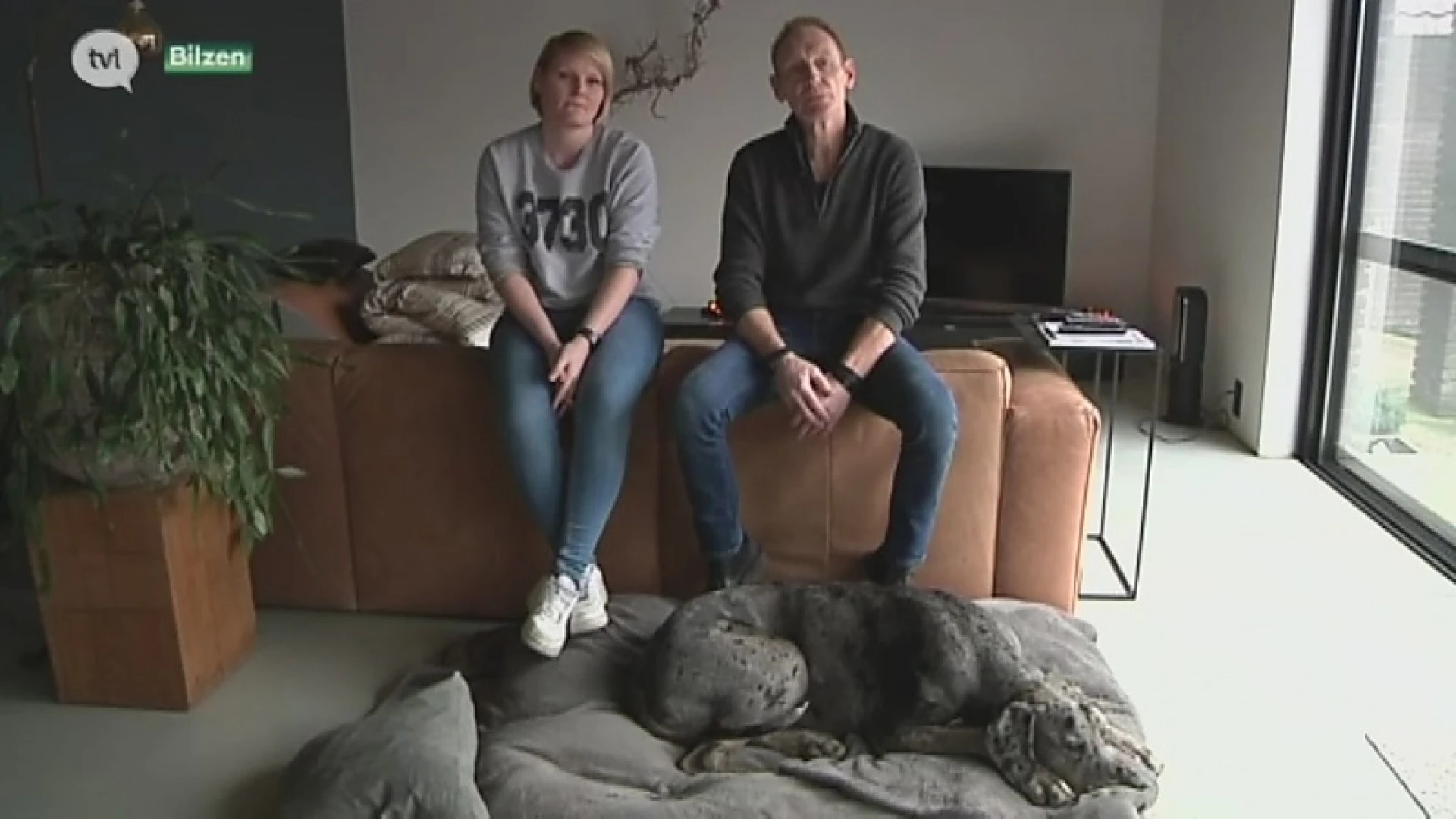 Opnieuw hond vergiftigd, deze keer in Bilzen