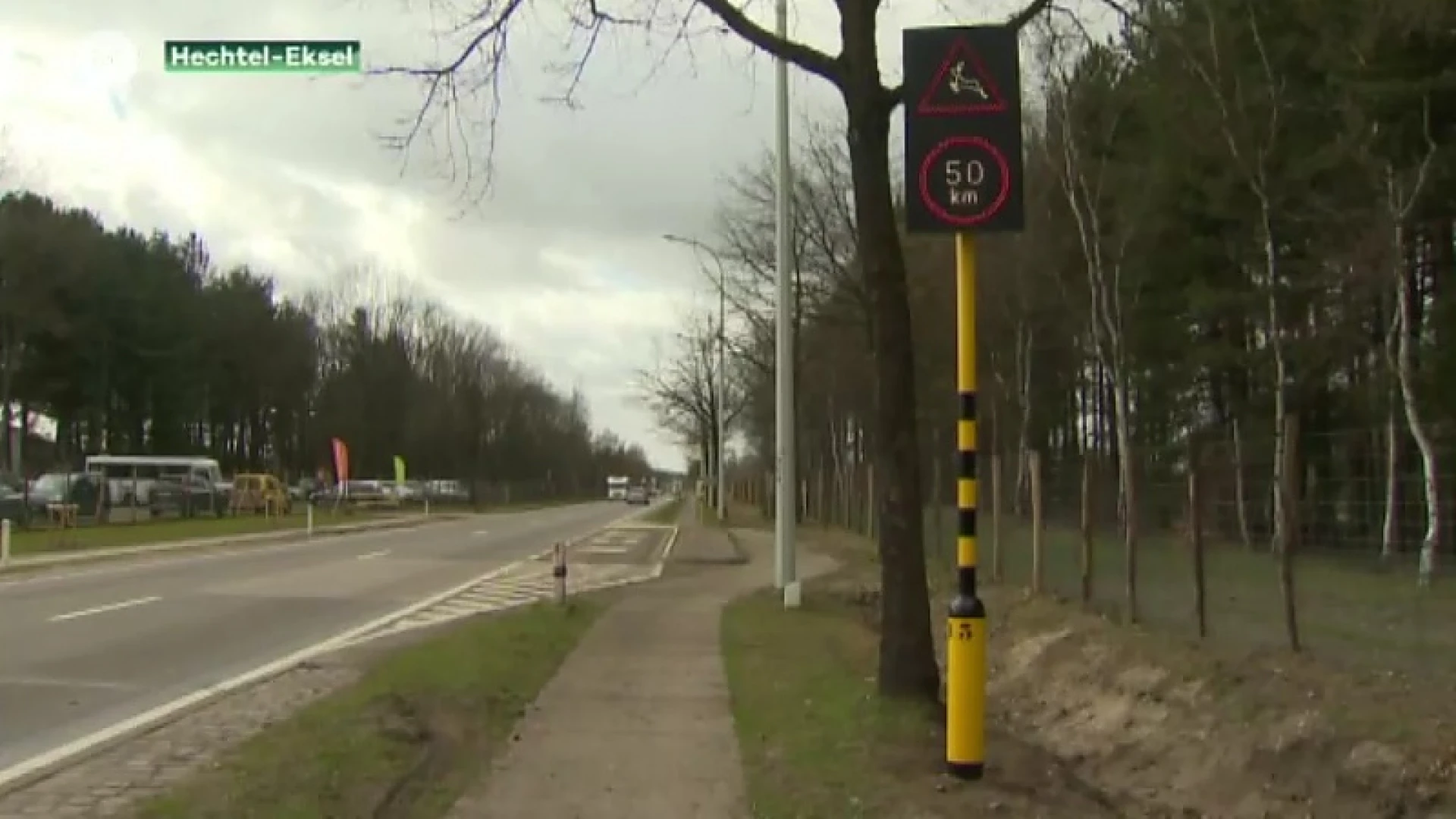 Wilddetectiesysteem faalt: ever aangereden in Hechtel-Eksel