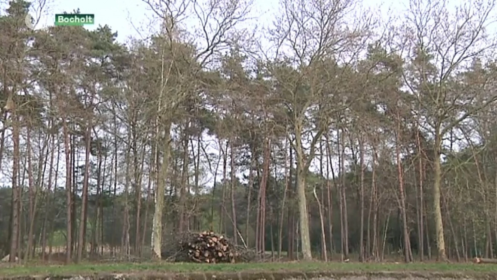 Protest groeit tegen zandwinning Kaulille