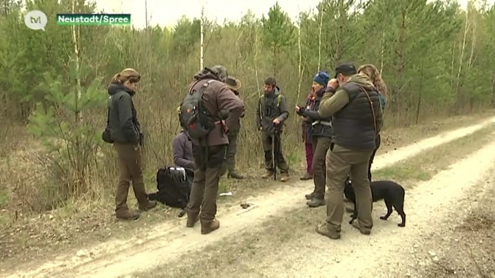 Limburgse wolvenkenners in het spoor van de wolf in Duitsland