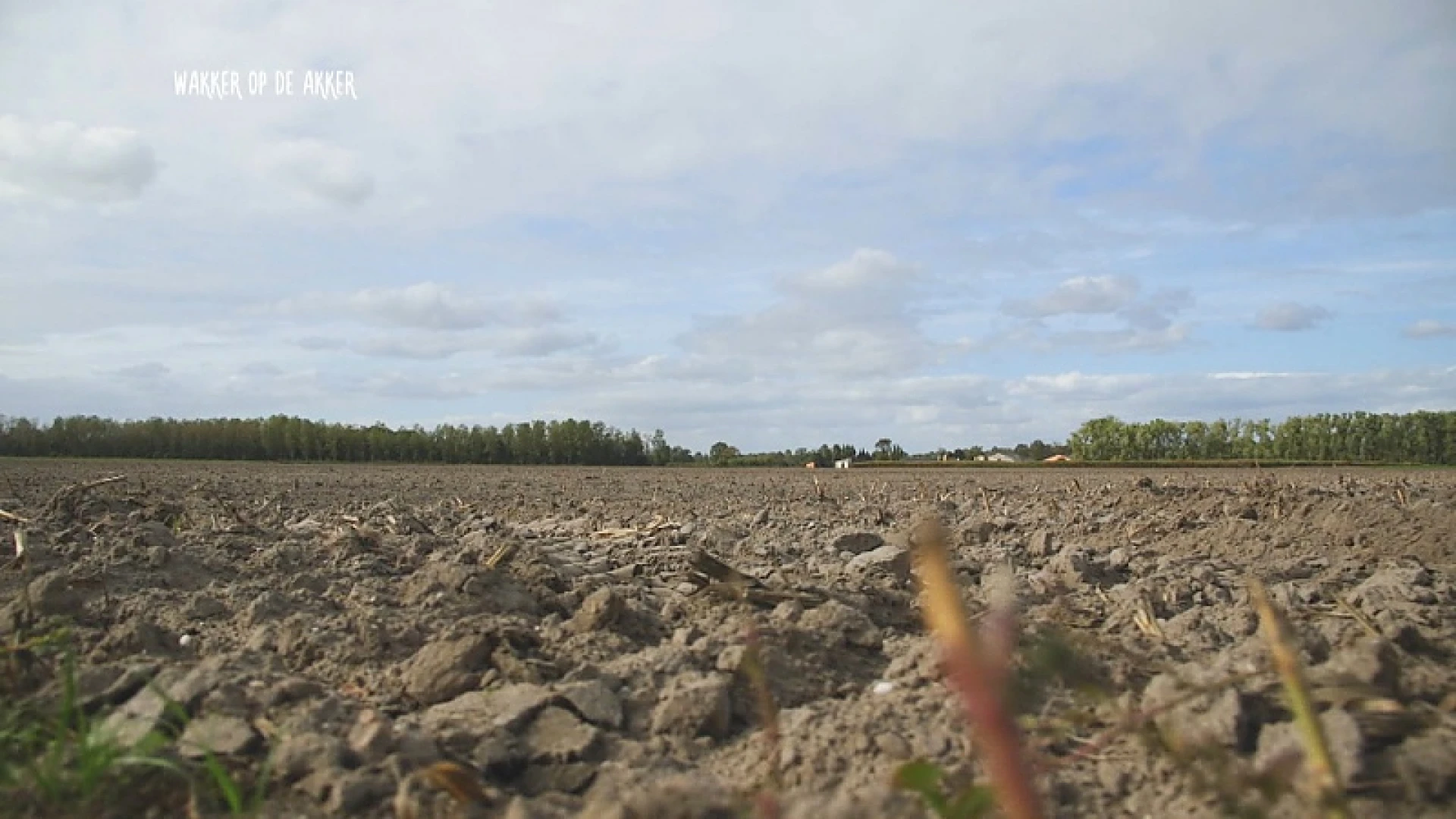 Plattelandsproject in Limburg