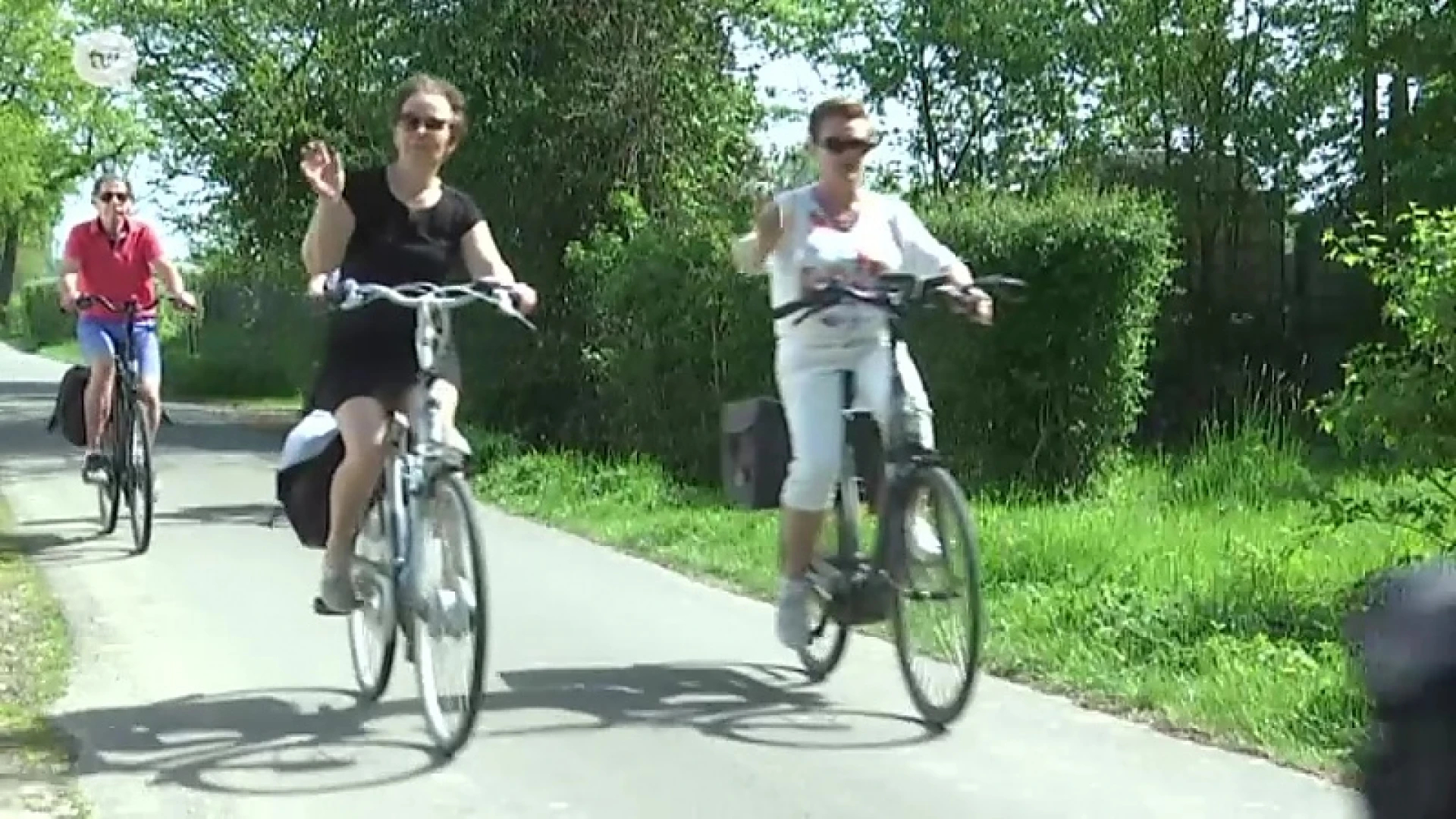 Recordaantal bloesemtoeristen voor Borgloon