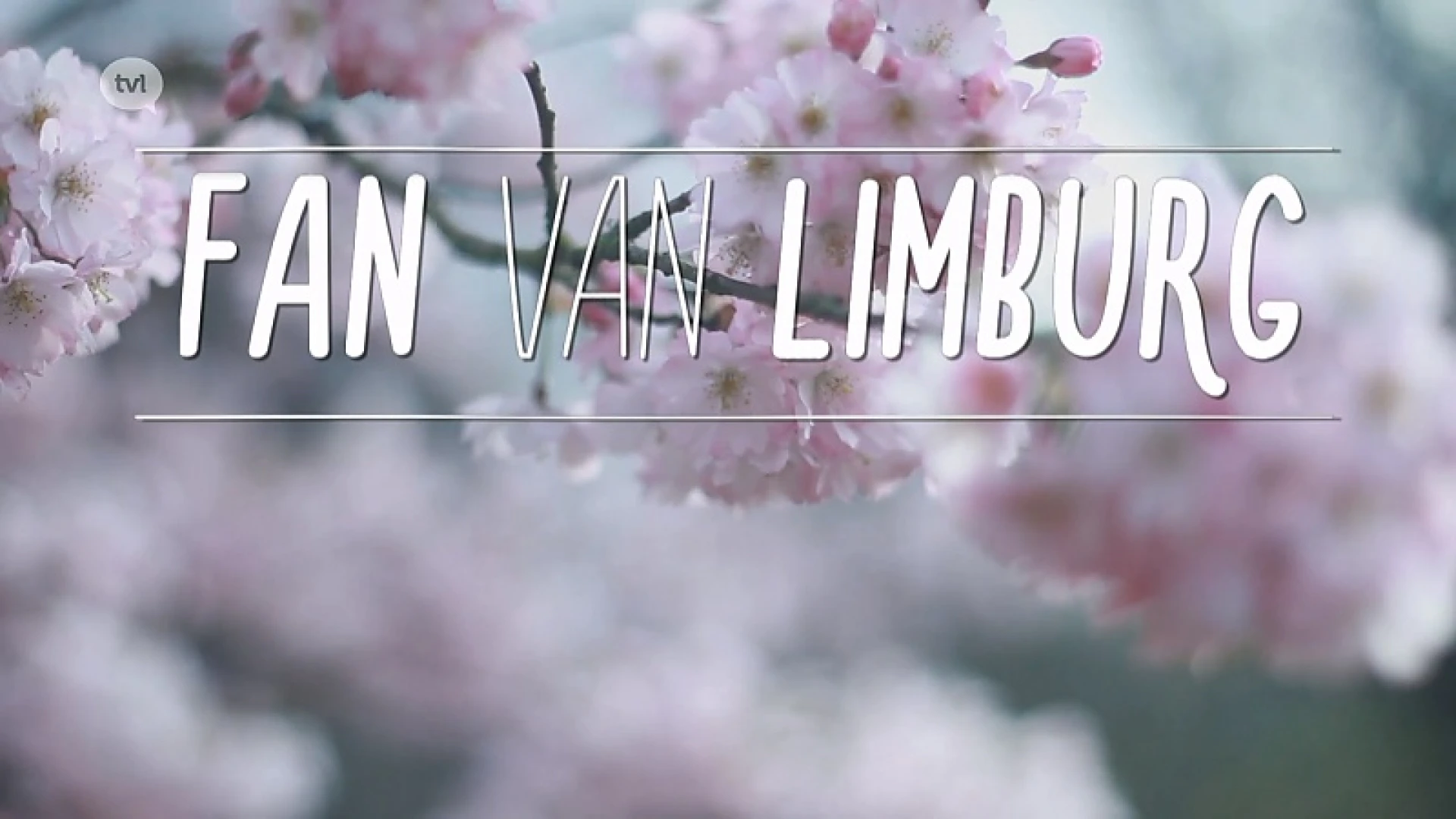 Fan van Limburg: 23 mei 2019