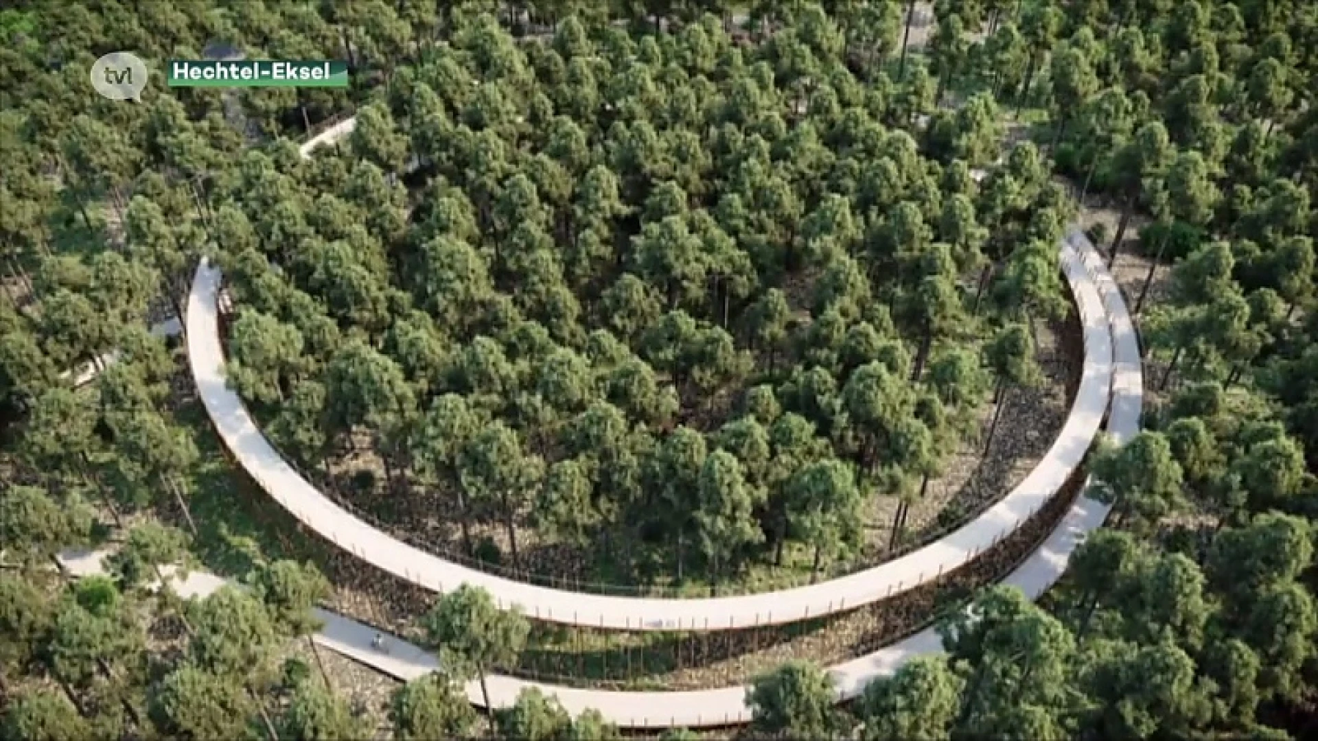 Fietsen door de bomen