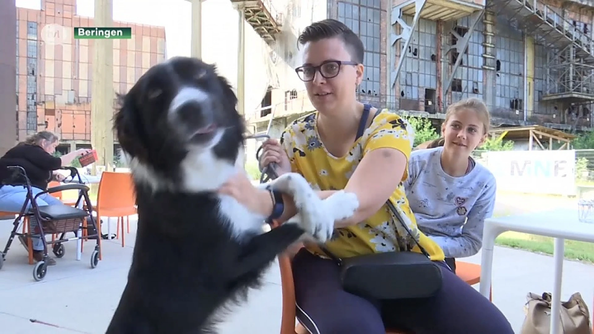Honden smullen van pizza en frieten in eerste hondenbar in Beringen