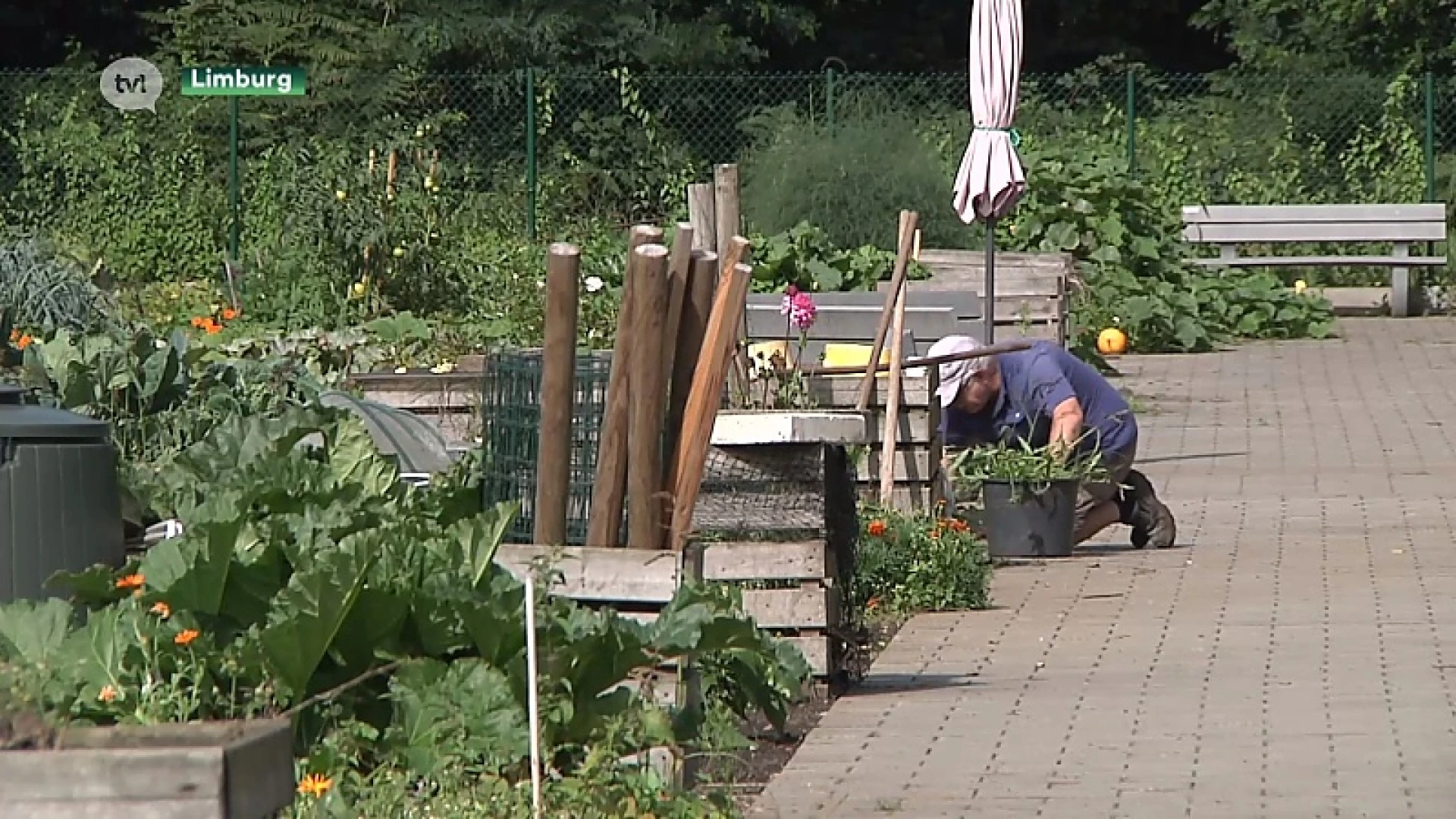 Limburg.net geeft cursussen kringlooptuinieren