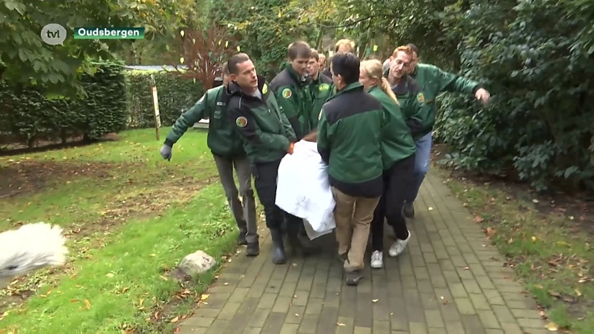Beren uit Natuurhulpcentrum vertrekken naar Dublin