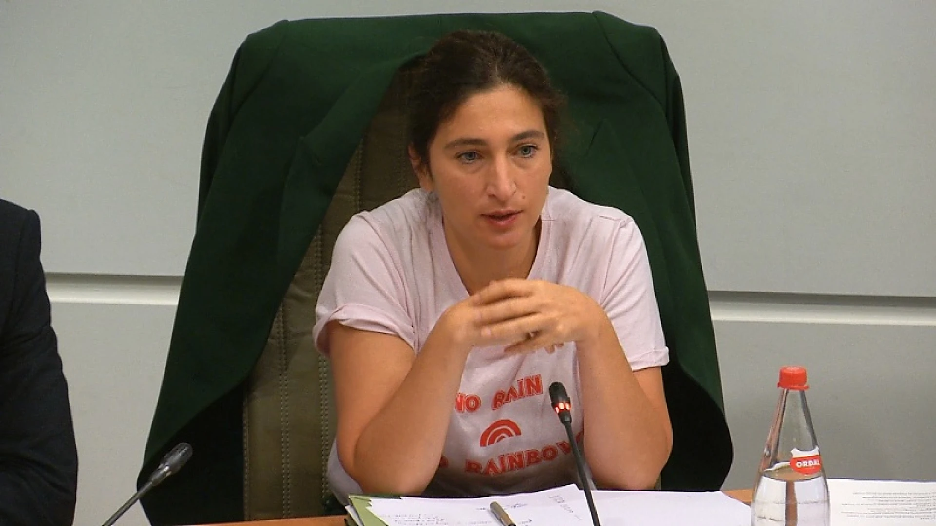 Wolvenplan van Zuhal Demir gaat wolven in Limburg beter beschermen