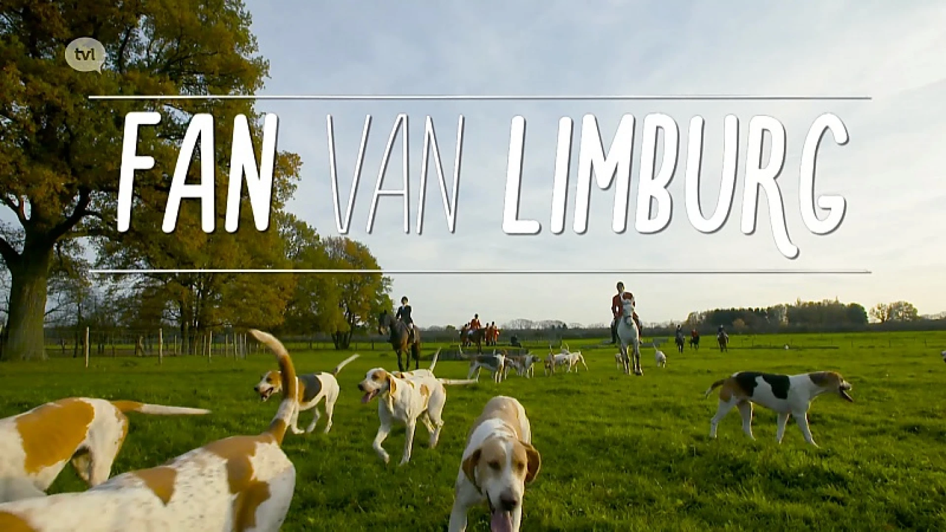 Fan van Limburg: 7 november 2019