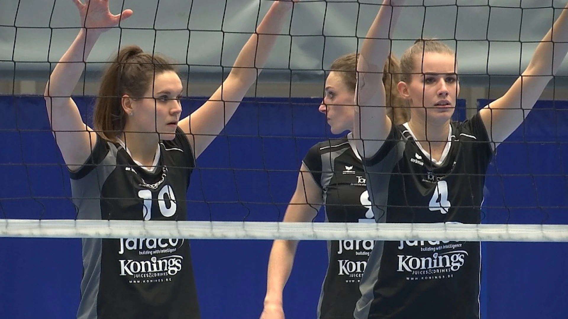 Fusieclub Ladiesvolley Limburg neemt vliegende start: "Willen meedoen voor de prijzen."
