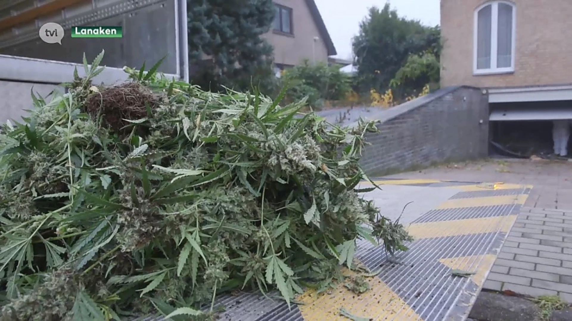 Drugsvangst in hypermoderne plantage in Lanakense villa