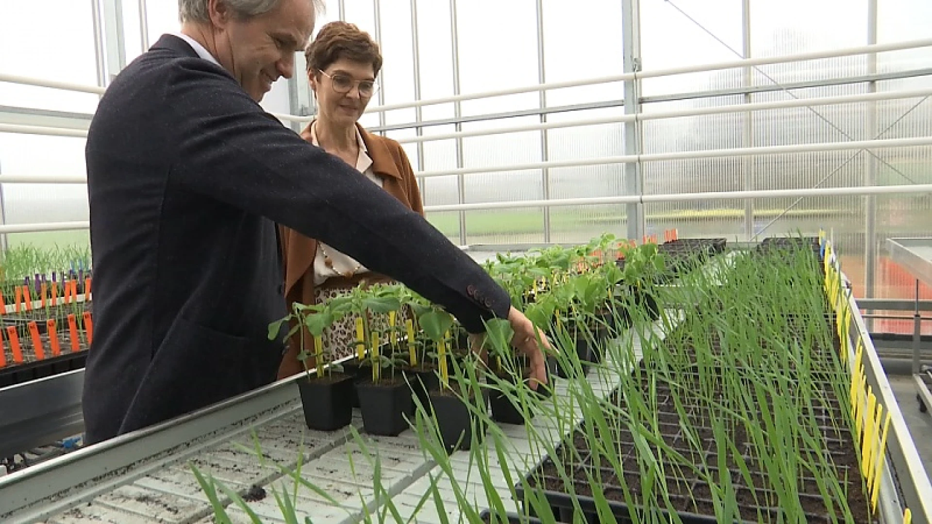 Globachem kanshebber ondernemer van het jaar