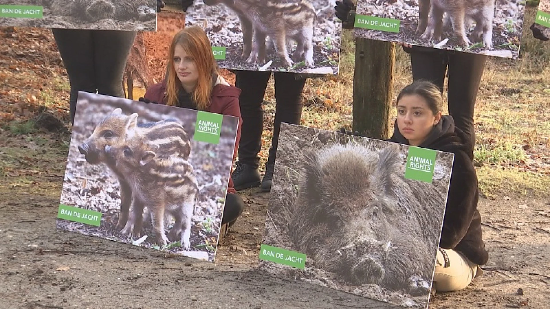 Animal Rights houdt stille wake tijdens drukjacht in Zonhoven