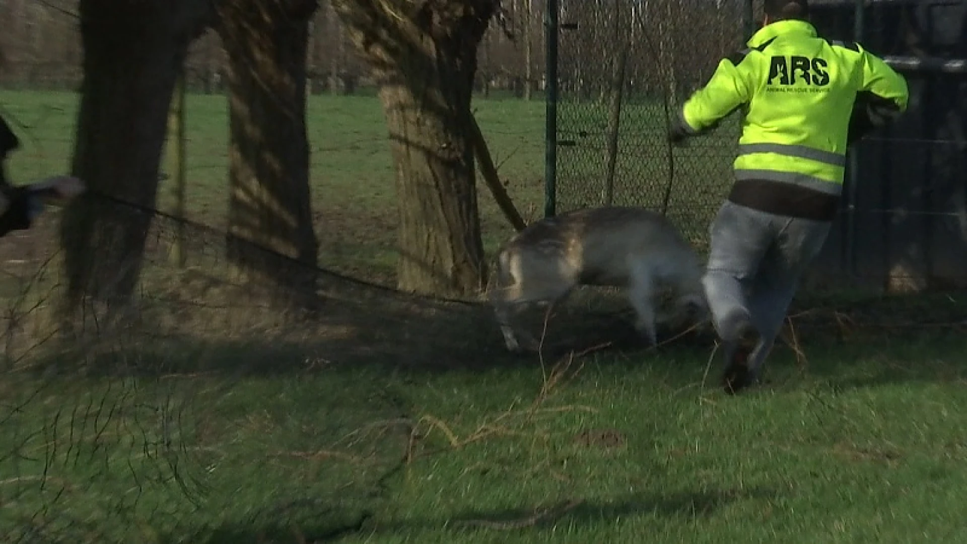 TVL Nieuws, 6 februari 2020