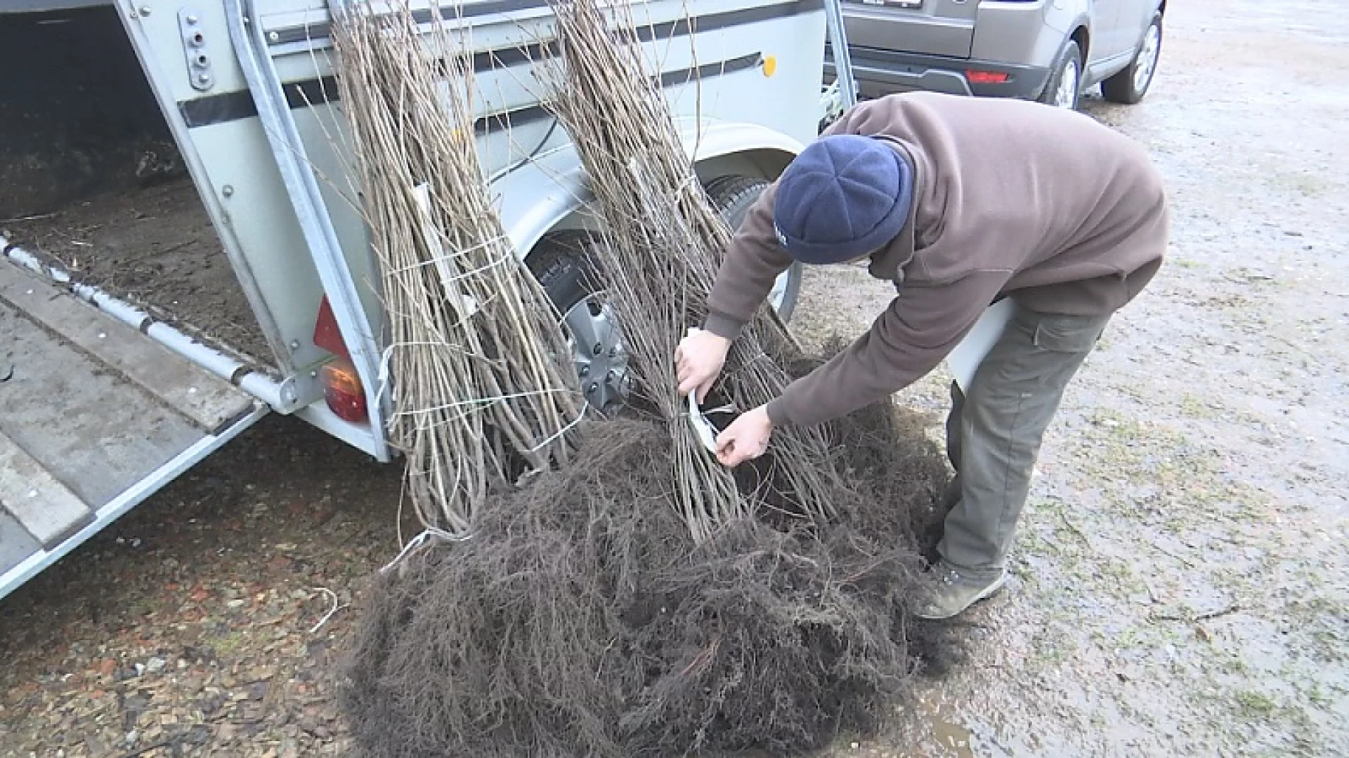 Limburgse jagers planten bijna 14.000 hagen en bomen