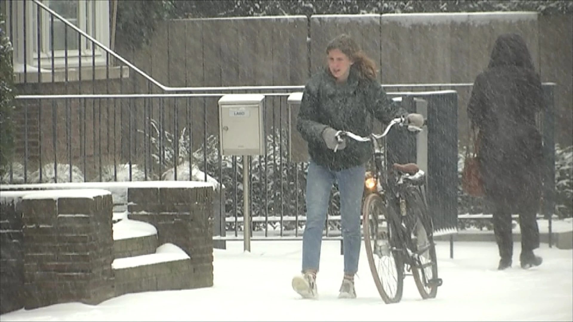 Koning Winter meldt zich morgenochtend met kans op laagje sneeuw en moeilijke ochtendspits
