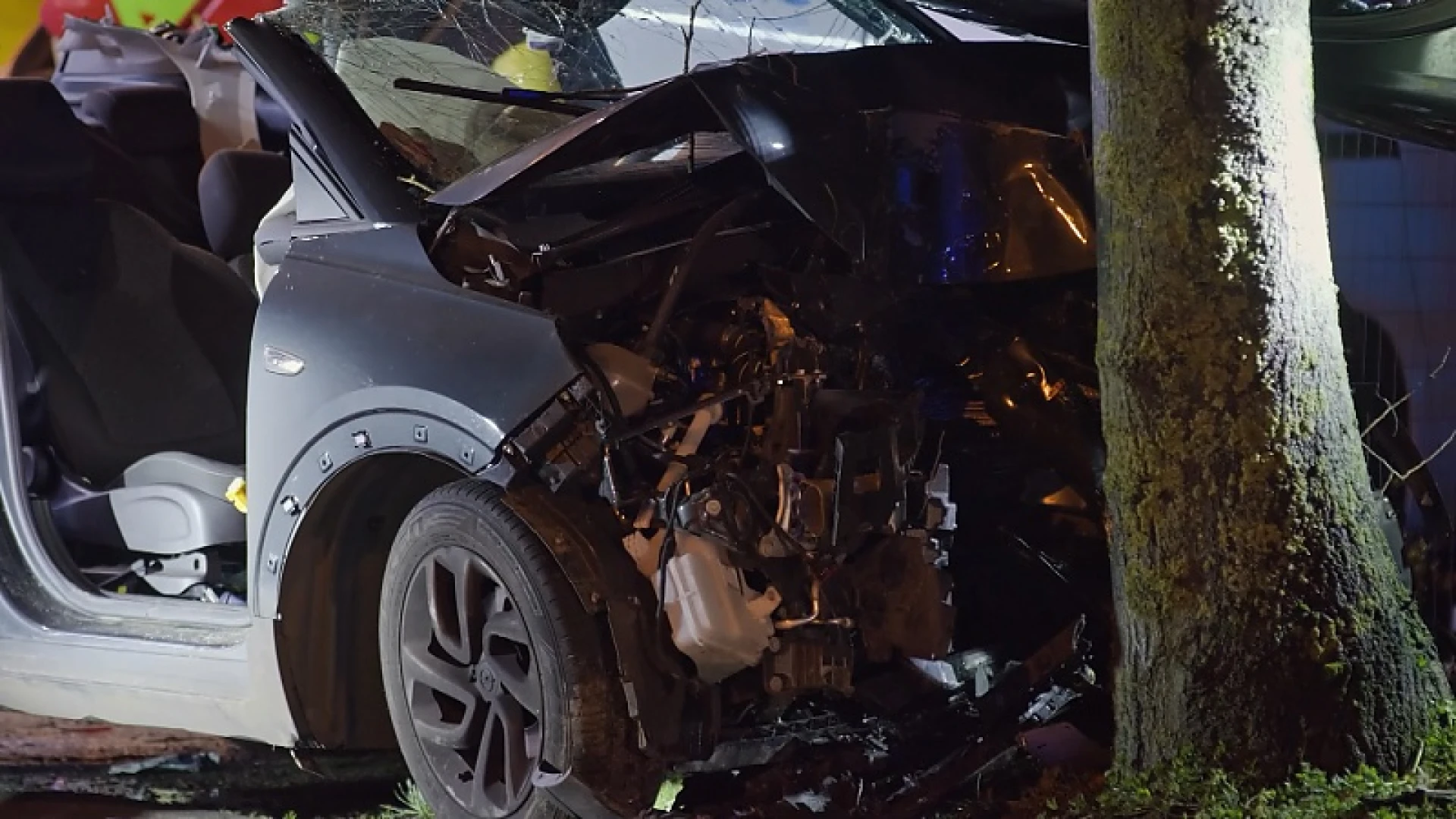 Mama en twee kinderen met auto tegen boom in Schulen