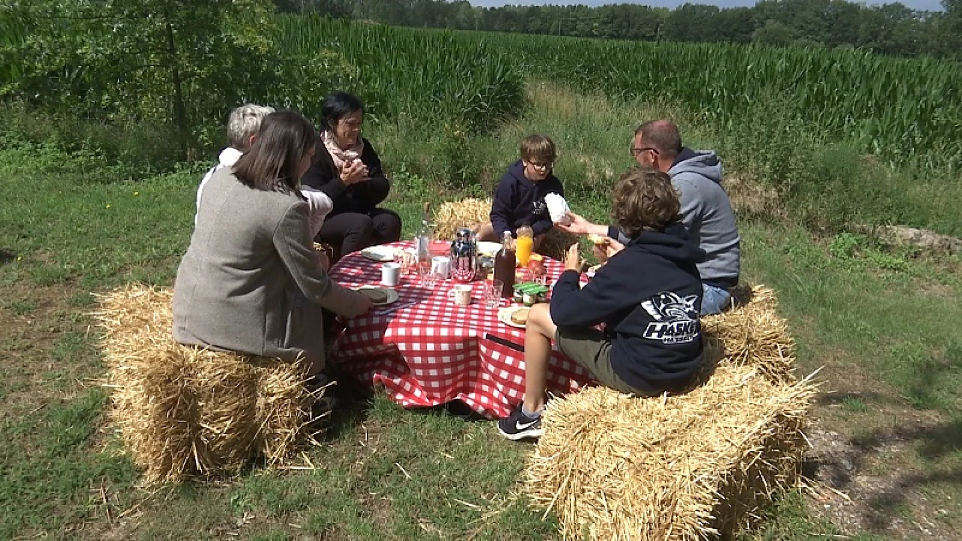 PicknickPoint lanceert online boekingsplatform voor picknicks