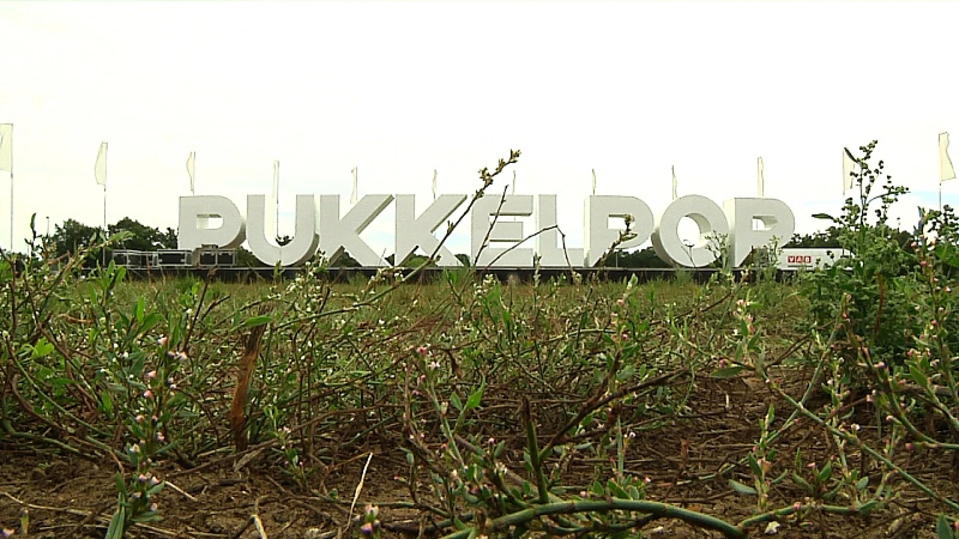 Pukkelpopletters duiken op aan akelig stille festivalweide
