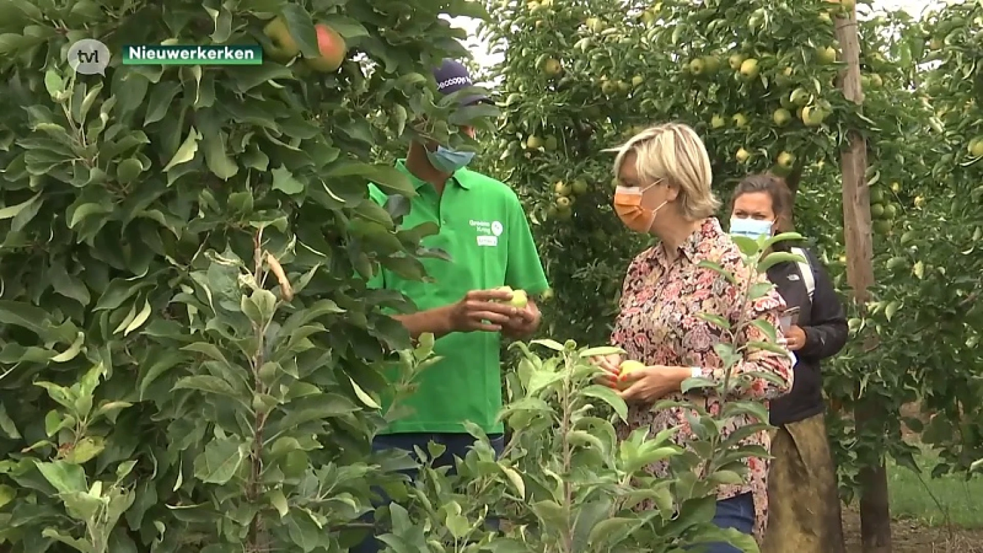 Minister Crevits: "Zonnebrand fruitteelt moeten we erkennen als ramp"