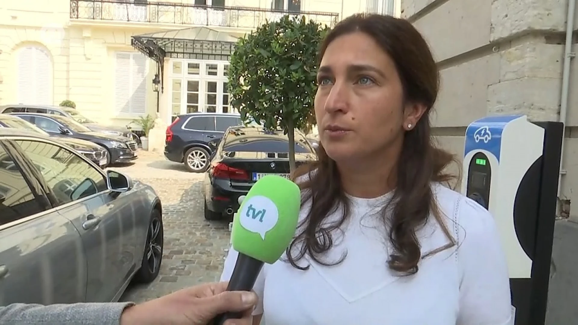 Zuhal Demir (N-VA): "Natuurgebied Groene Delle wordt niet gekapt"