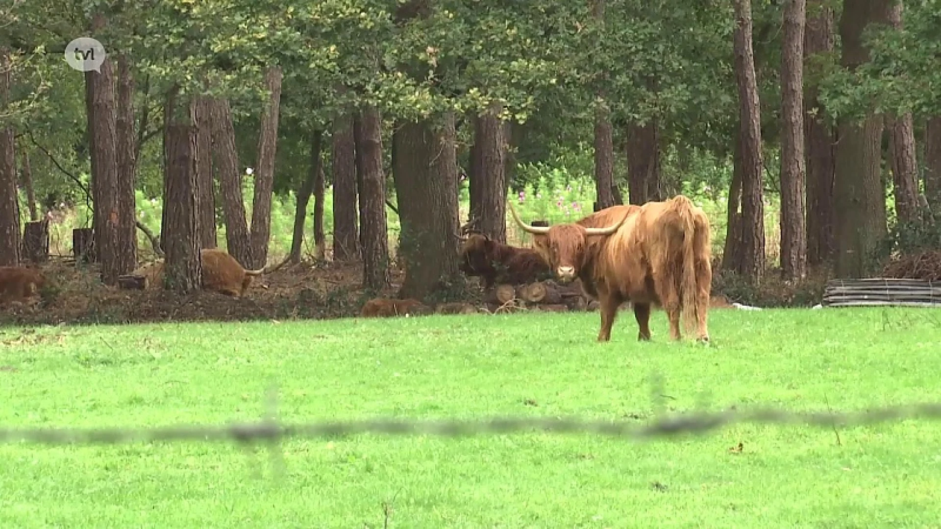 TVL Nieuws, 1 oktober 2020