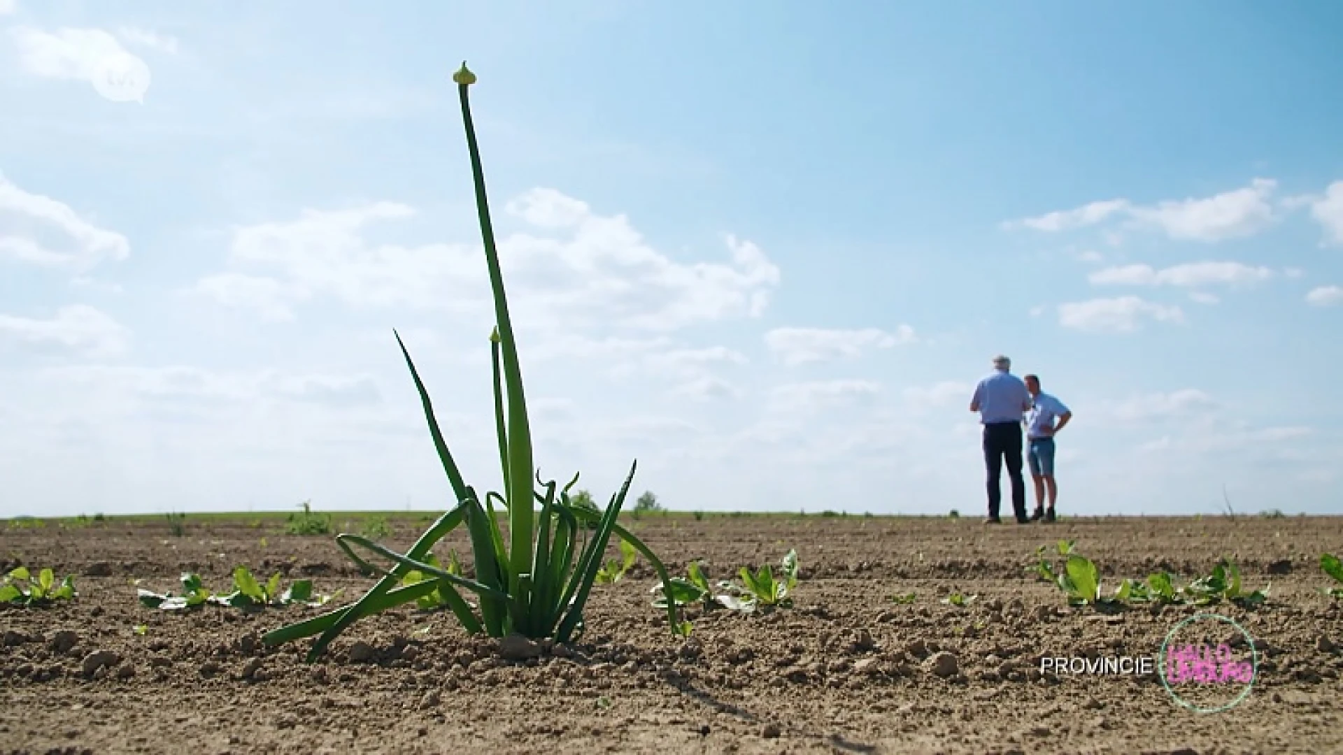 Irri-Wijs waterrecuperatie