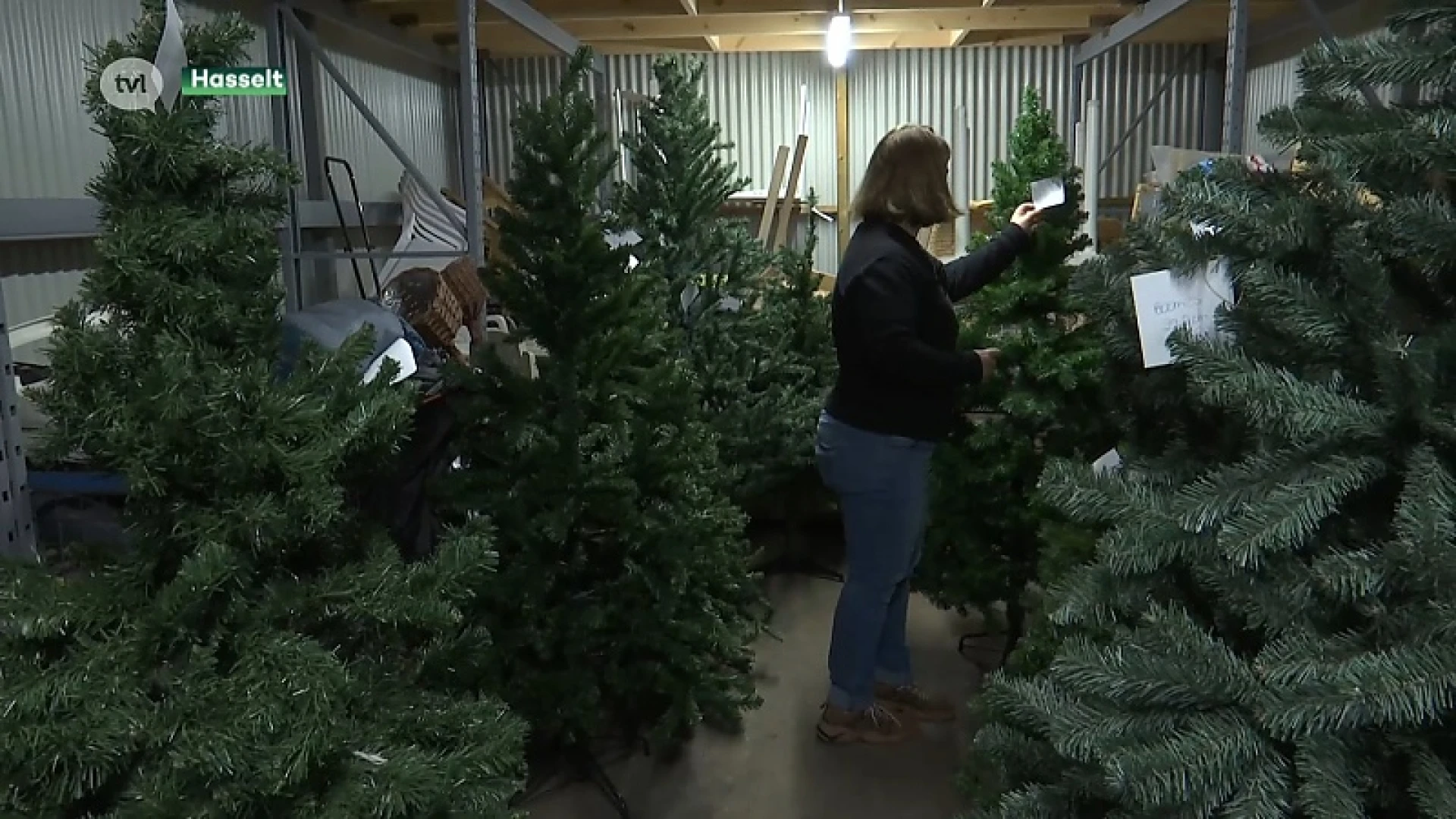 Rush op goedkope kerstbomen