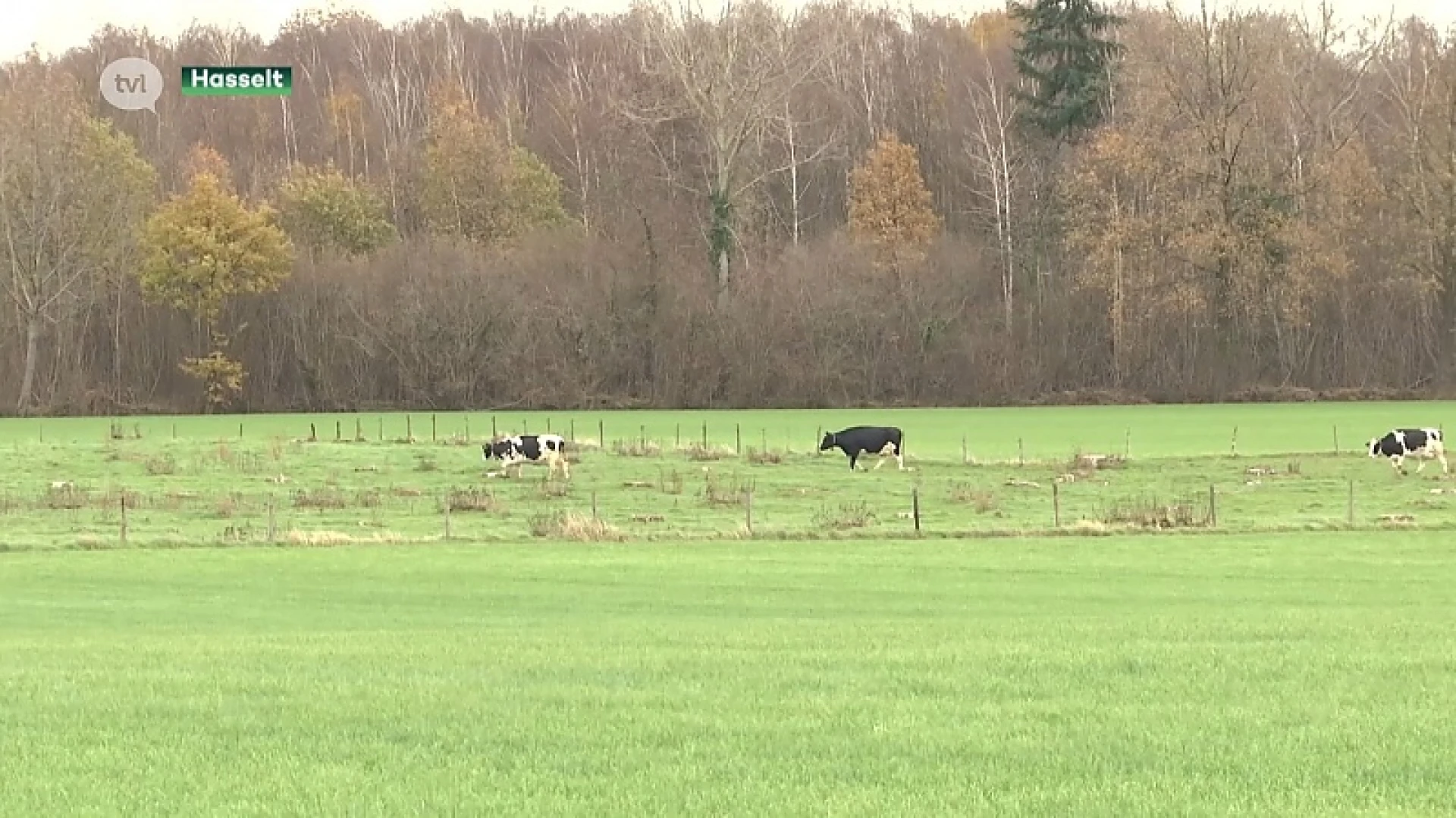 Boerenbond boos: "Geen industrie op Groene Delle, maar toch boscompensatie in Herkenrode"