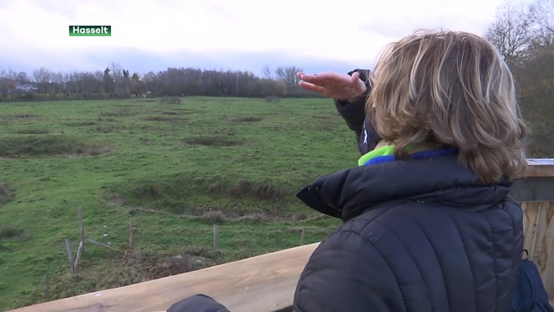 Hasselt ontsluit beschermd natuurgebied met uitkijkpunt