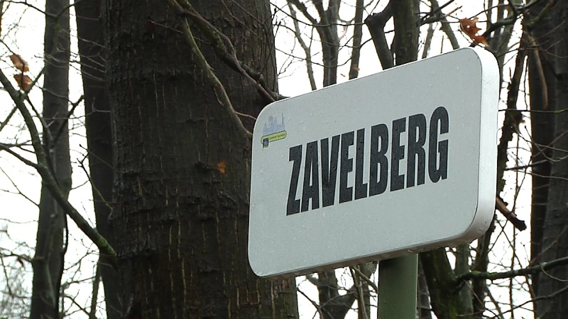 Bedrijfsfeest stilgelegd in Tessenderlo, politie hanteert nultolerantie op kerstavond en kerstdag