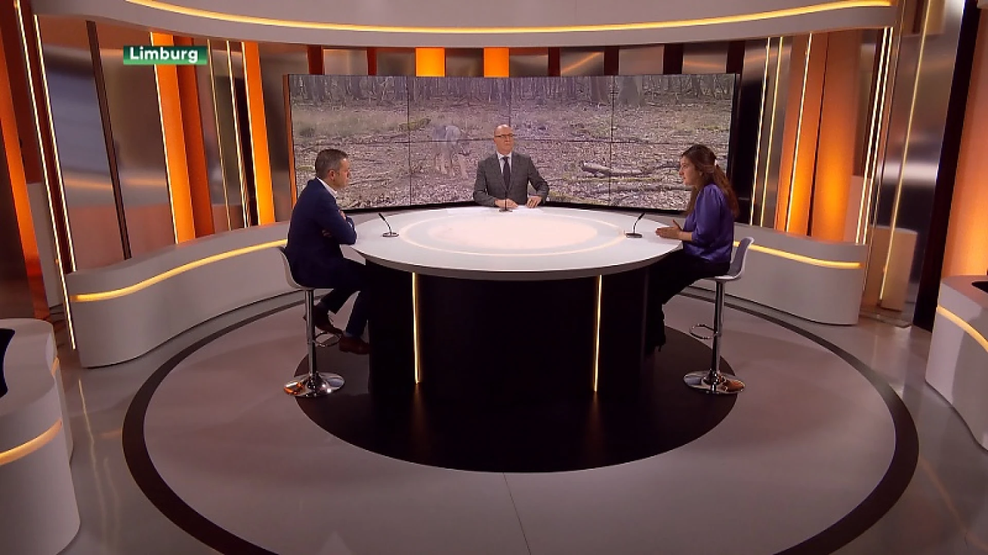 Het Jaar van de Wolf