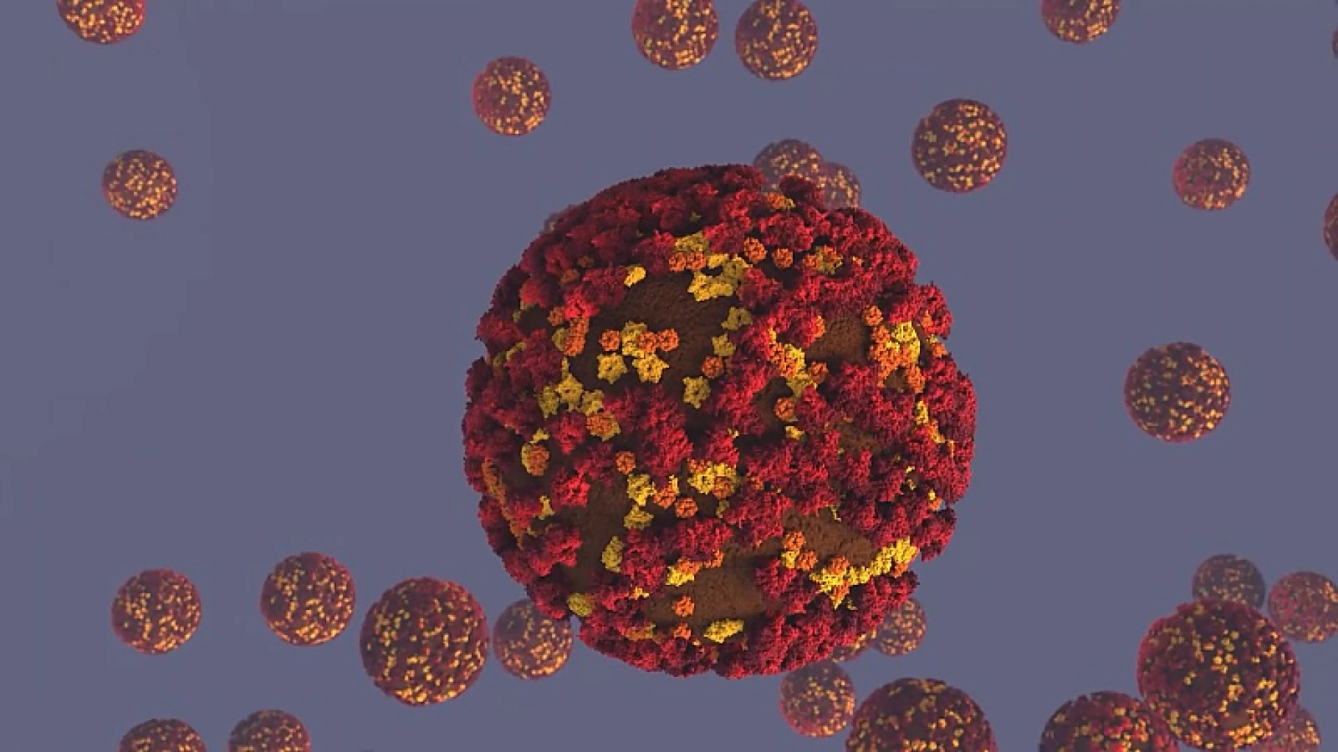 Hoe bang moeten we zijn van de besmettelijkere varianten van het coronavirus?