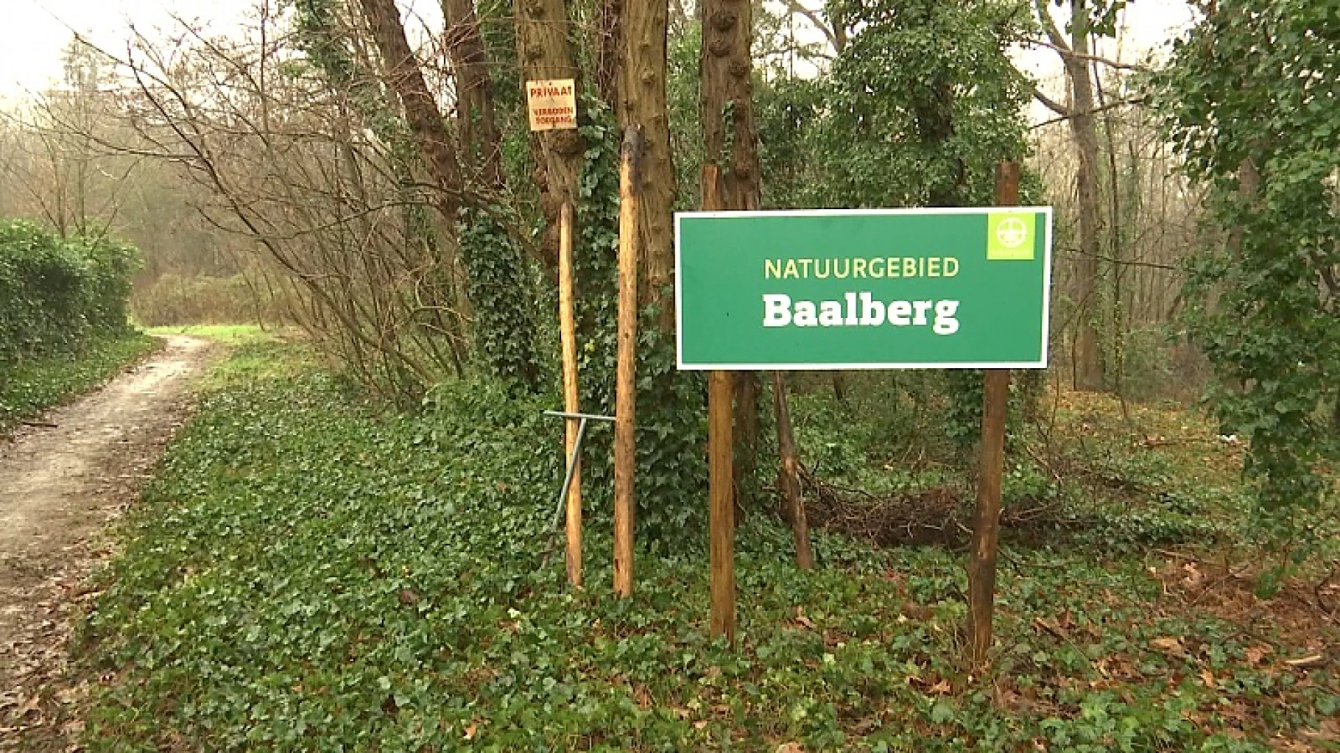 Natuurpunt Tessenderlo wordt eigenaar van waardevol bos Baalberg