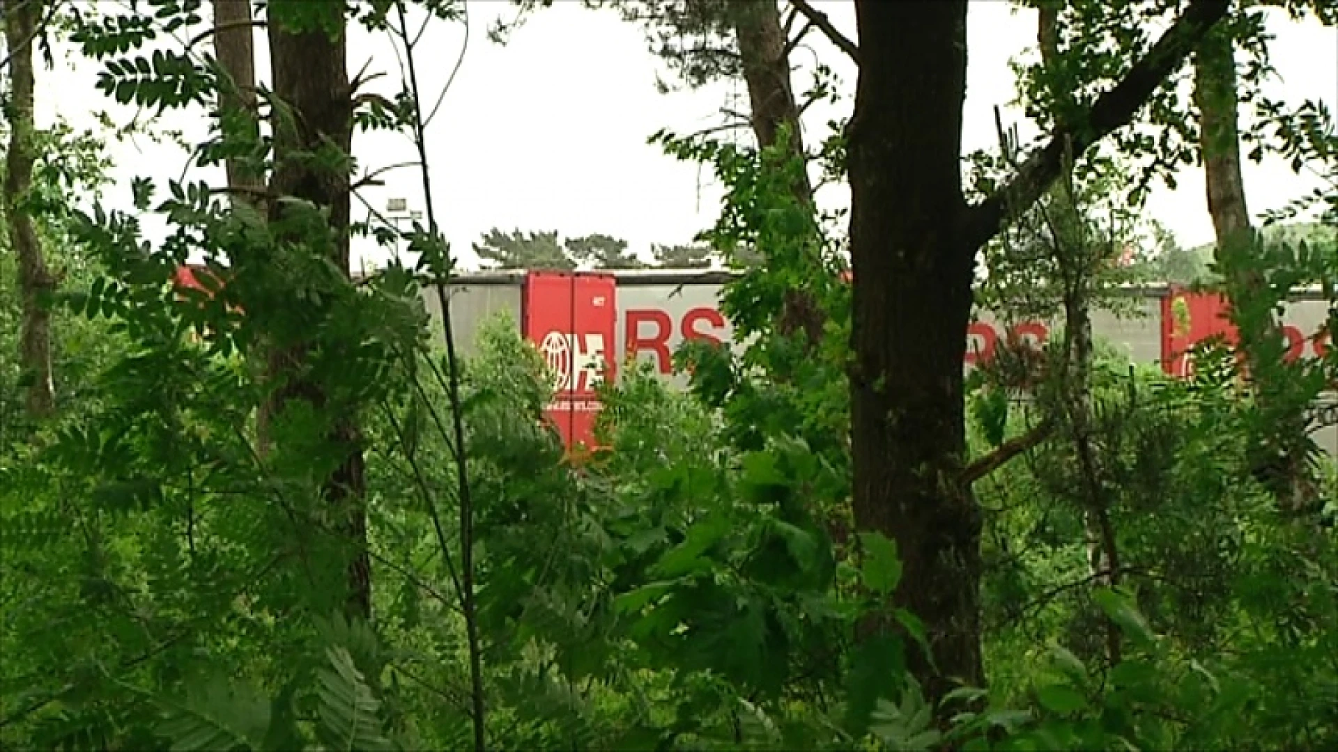 Essers mag dan toch bos kappen