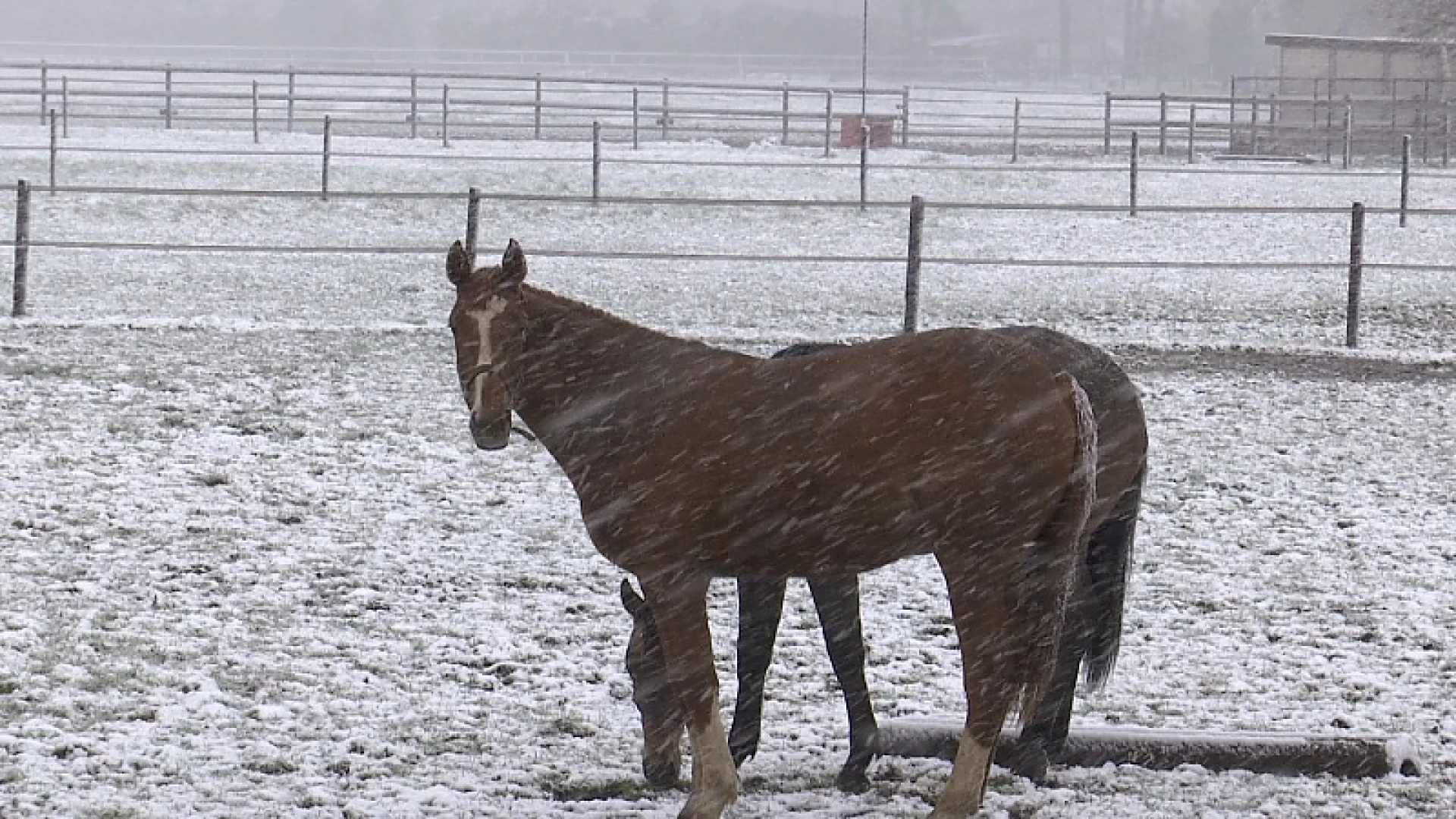 Sneeuw blijft vandaag en morgen aanhouden. "Let op voor gladde wegen"