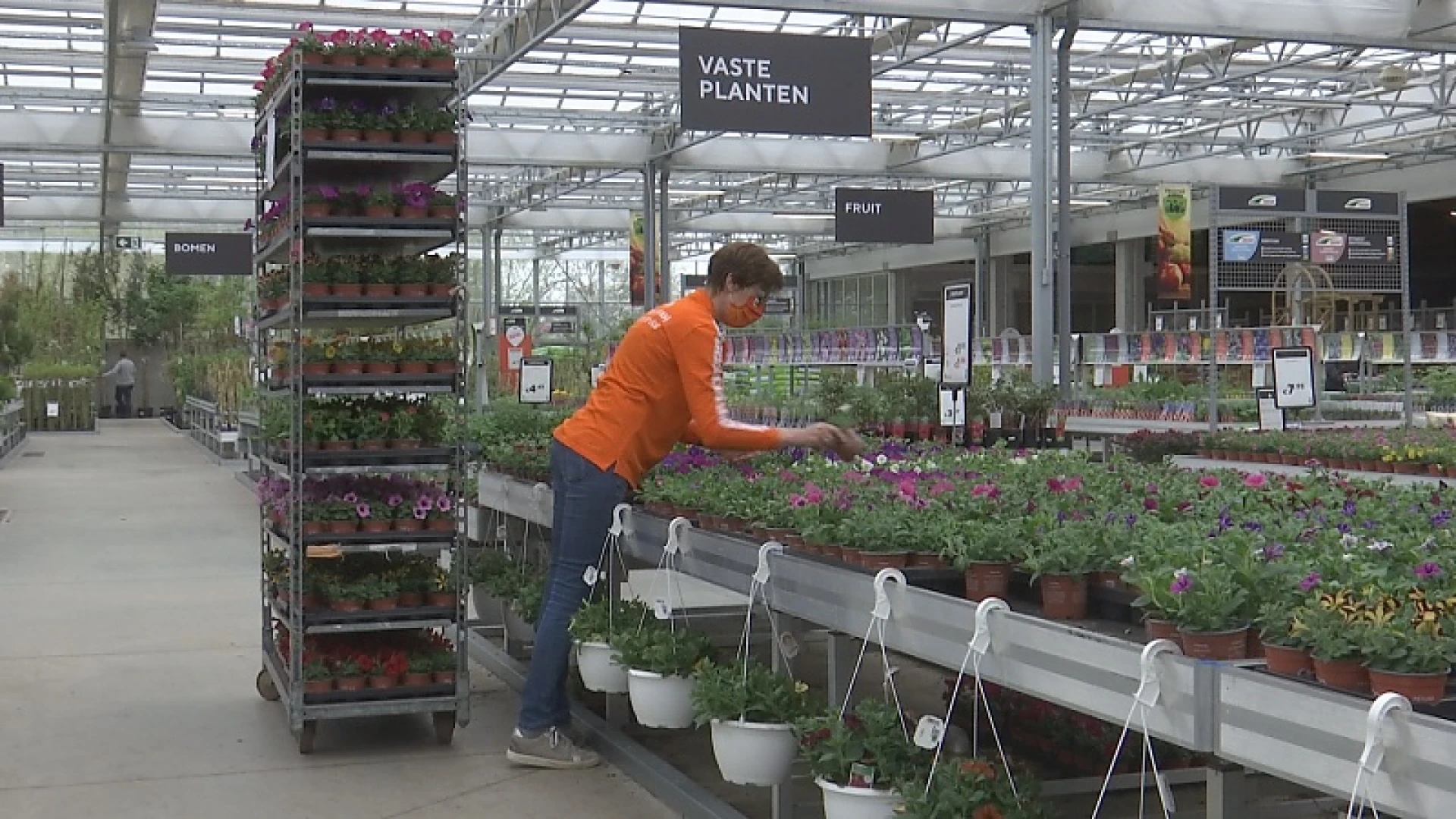 Tuincentra zitten met tekort aan planten