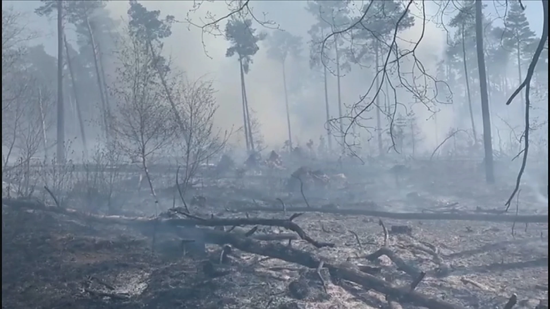 Bosbrand in de buurt van fietsen door de bomen
