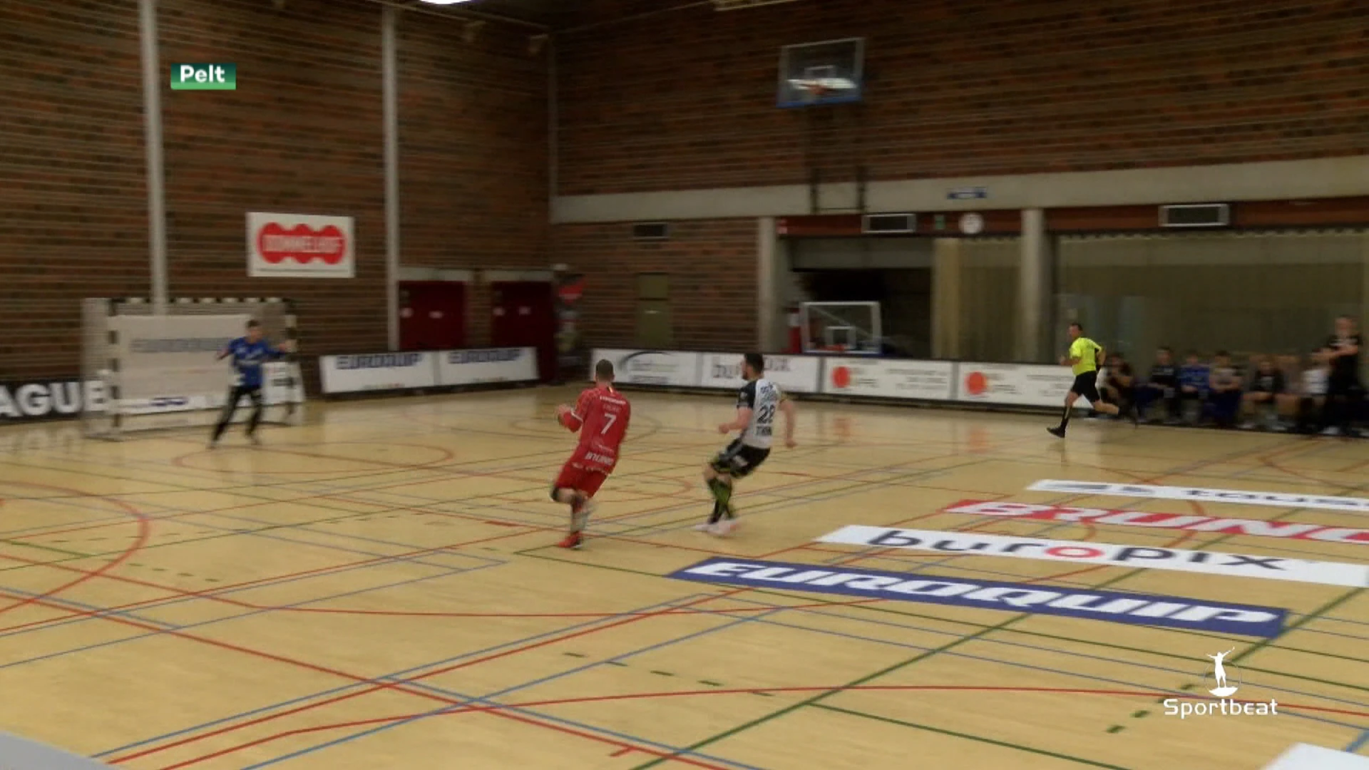 Sporting Pelt onderuit tegen Lions