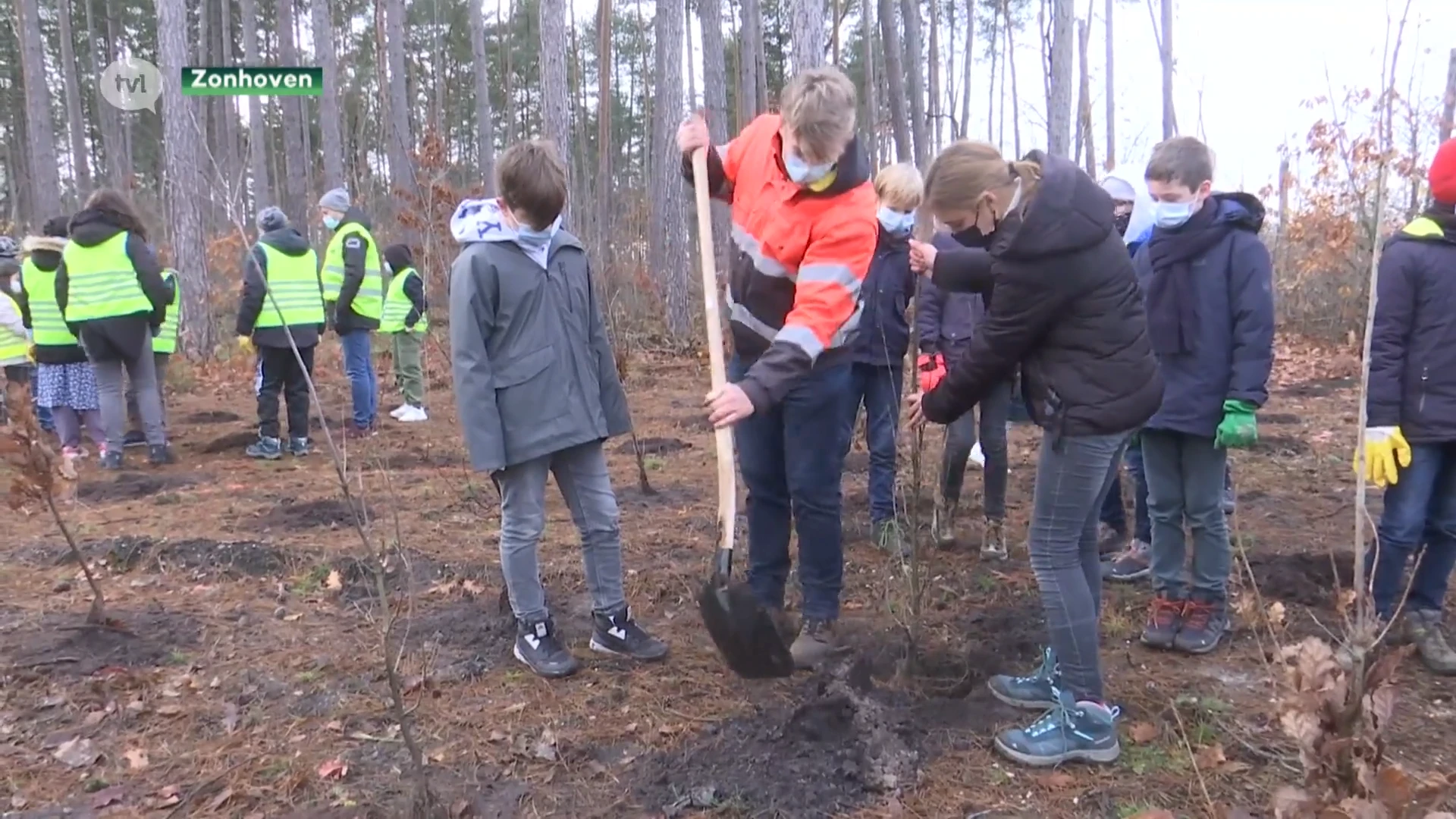 Zonhoven breidt Teut uit met loofbomen