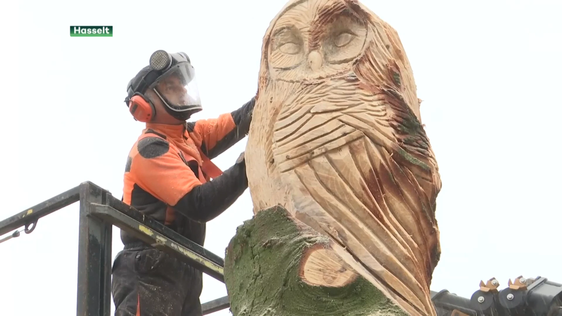 Kerstboom op Hasseltse Grote Markt is veranderd in een kunstwerk