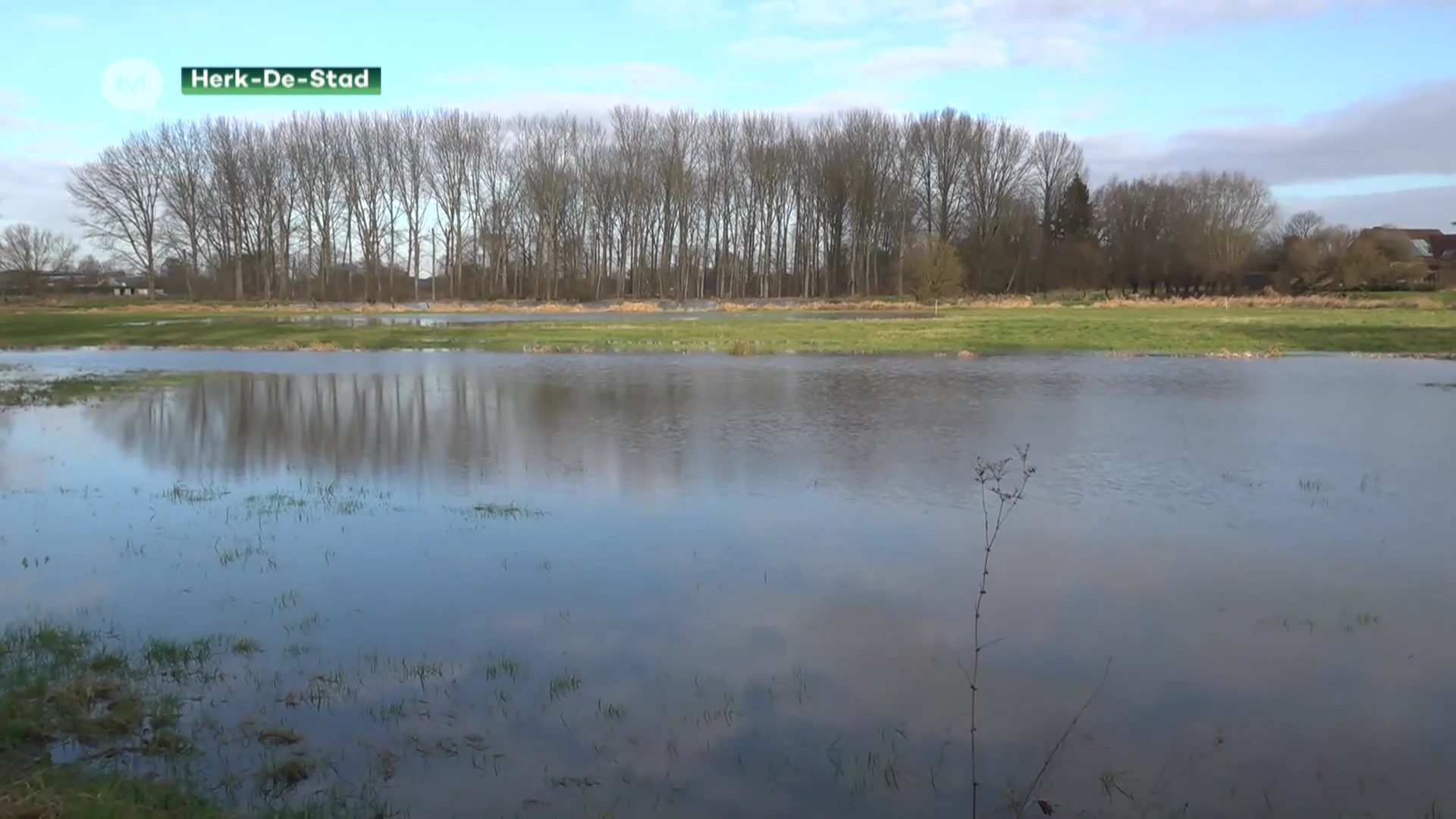 De Velpe is gestegen, maar geen alarmfase in Halen-centrum