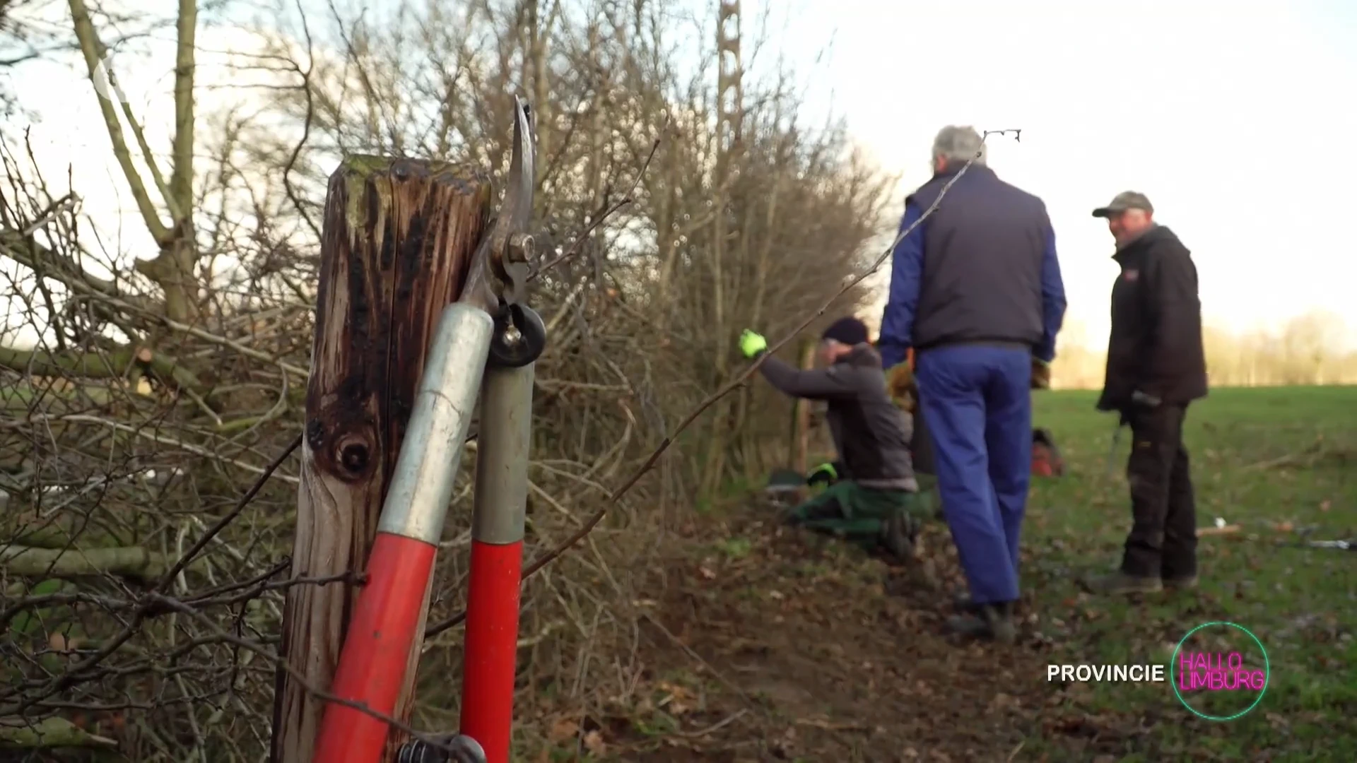 Hallo WOA: Heggen Leggen