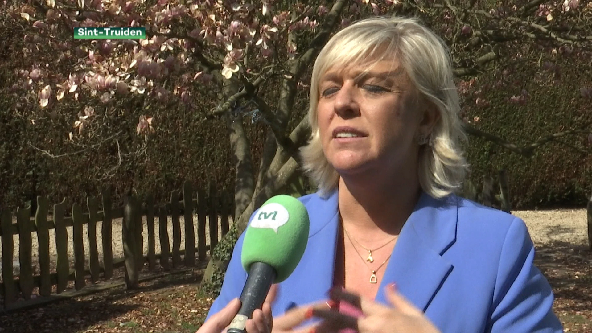 Limburgse paardensector steunt Vautmans: "btw-verlaging nodig om beste van Europa te blijven"
