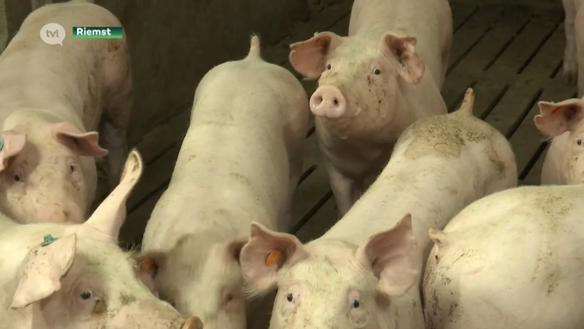 Jonge boeren vrezen voor de toekomst van de landbouw
